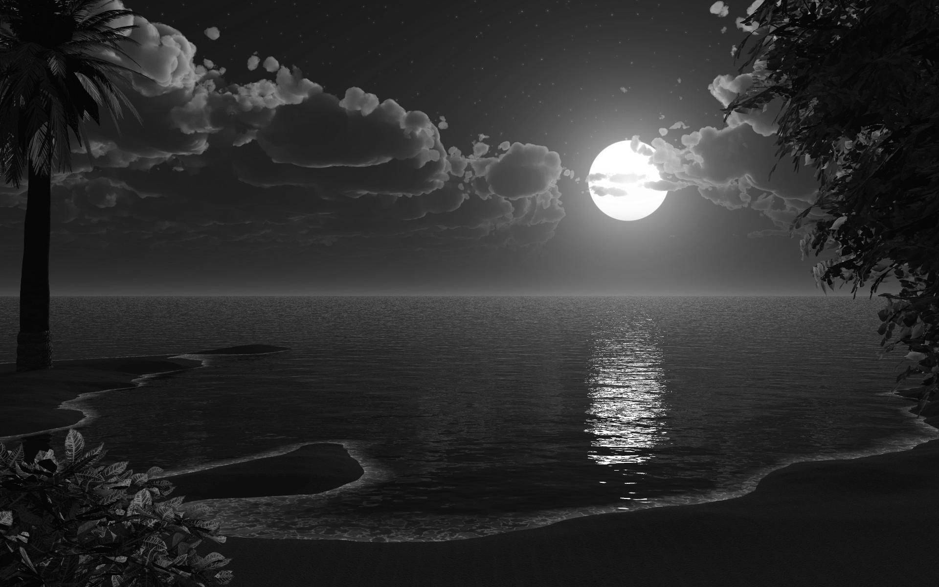 樹木 桌布 壁紙 — 寧靜的單色海灘夜景，滿月在平靜的水面上投下閃爍的光芒，棕櫚樹和雲朵環繞。