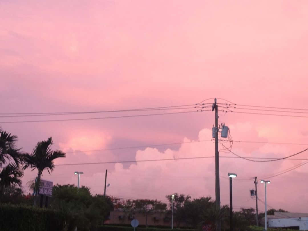 Pink Sky 桌布 壁紙 — 寧靜的城市暮色天空，以柔和的粉紅色調描繪在棕櫚樹和電線桿之上。
