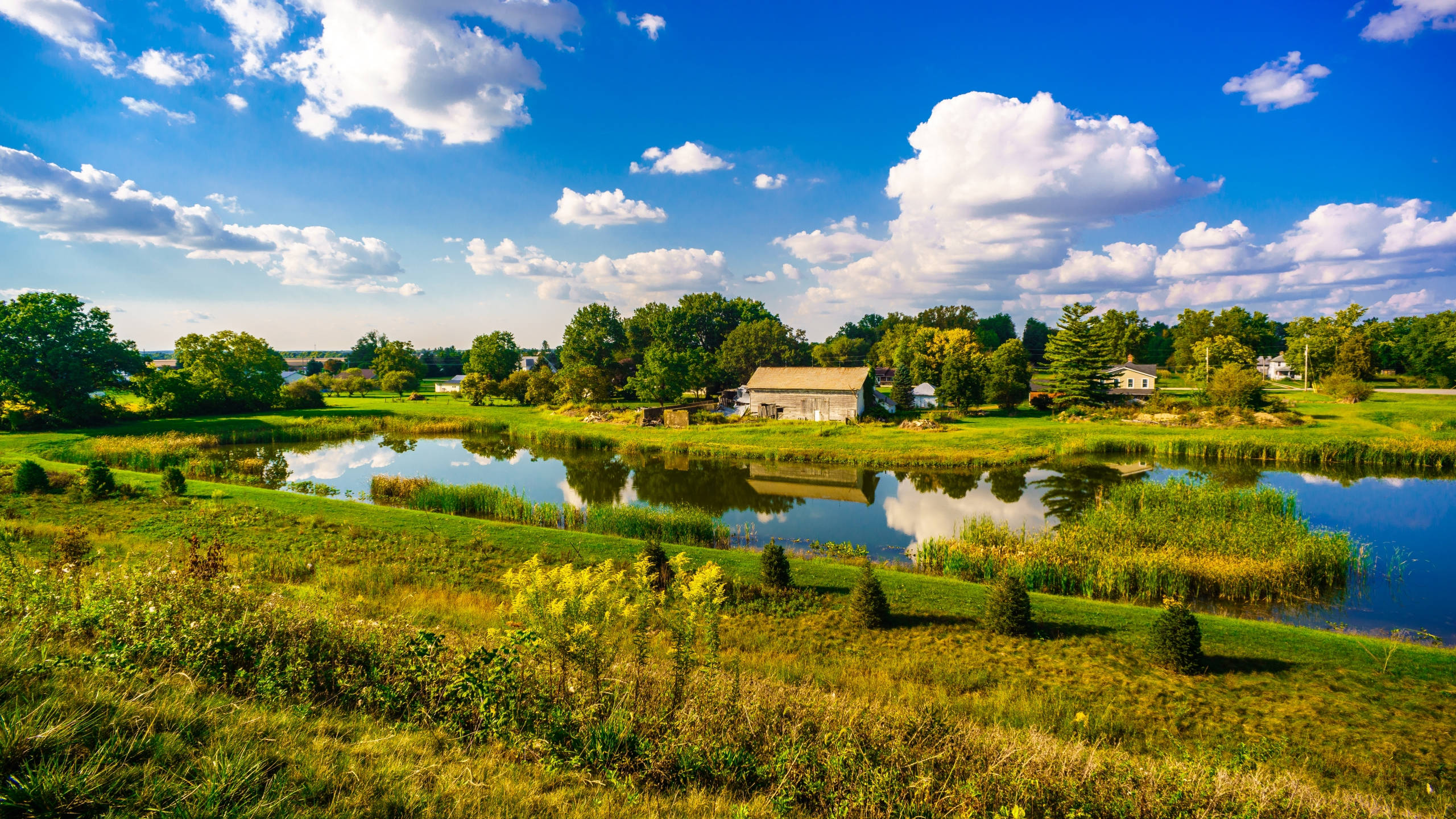 Farmhouse 桌布 壁紙 — 寧靜的夏日風景，平靜的池塘倒映著明亮的藍天和蓬鬆的白雲，四周環繞著茂密的綠色田野和樹木。