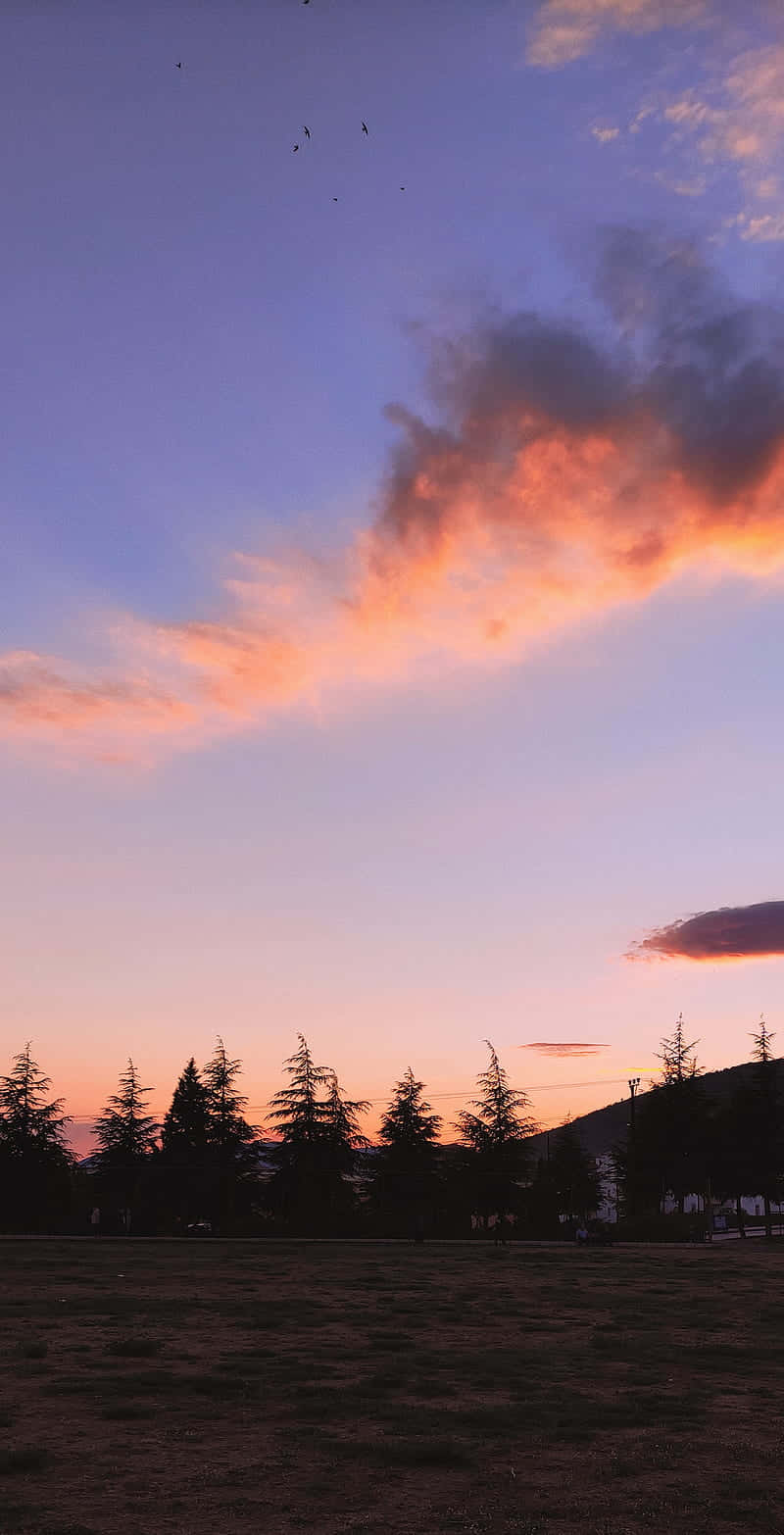 Clouds Aesthetics 桌布 壁紙 — 寧靜的夕陽在剪影般的樹木和遠山之上，以鮮豔的橙色和紫色調渲染天空。