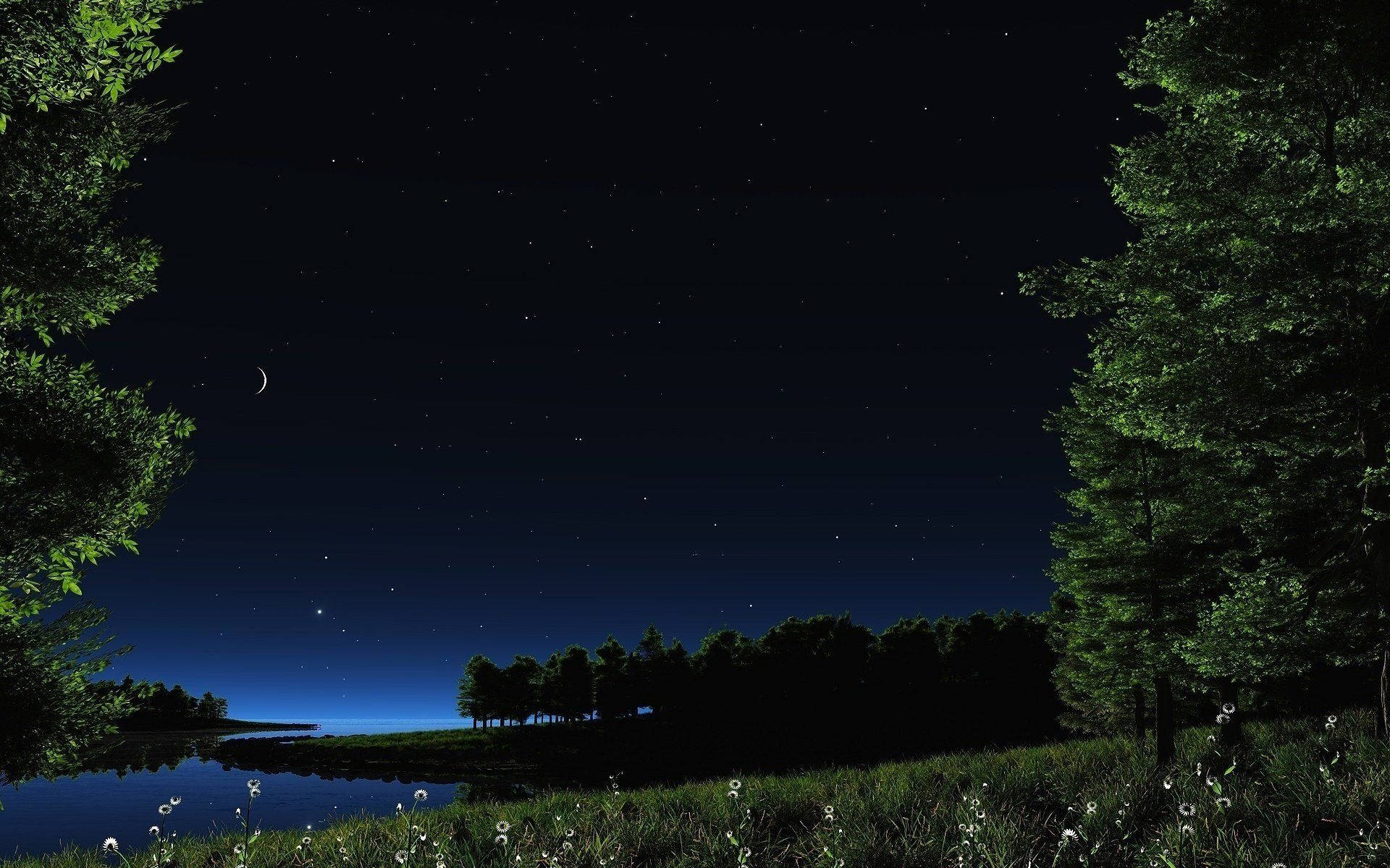 夜空 桌布 壁紙 — 寧靜的夜晚場景，新月和星星在平靜的湖面上，周圍環繞著茂密的綠樹和蒲公英。