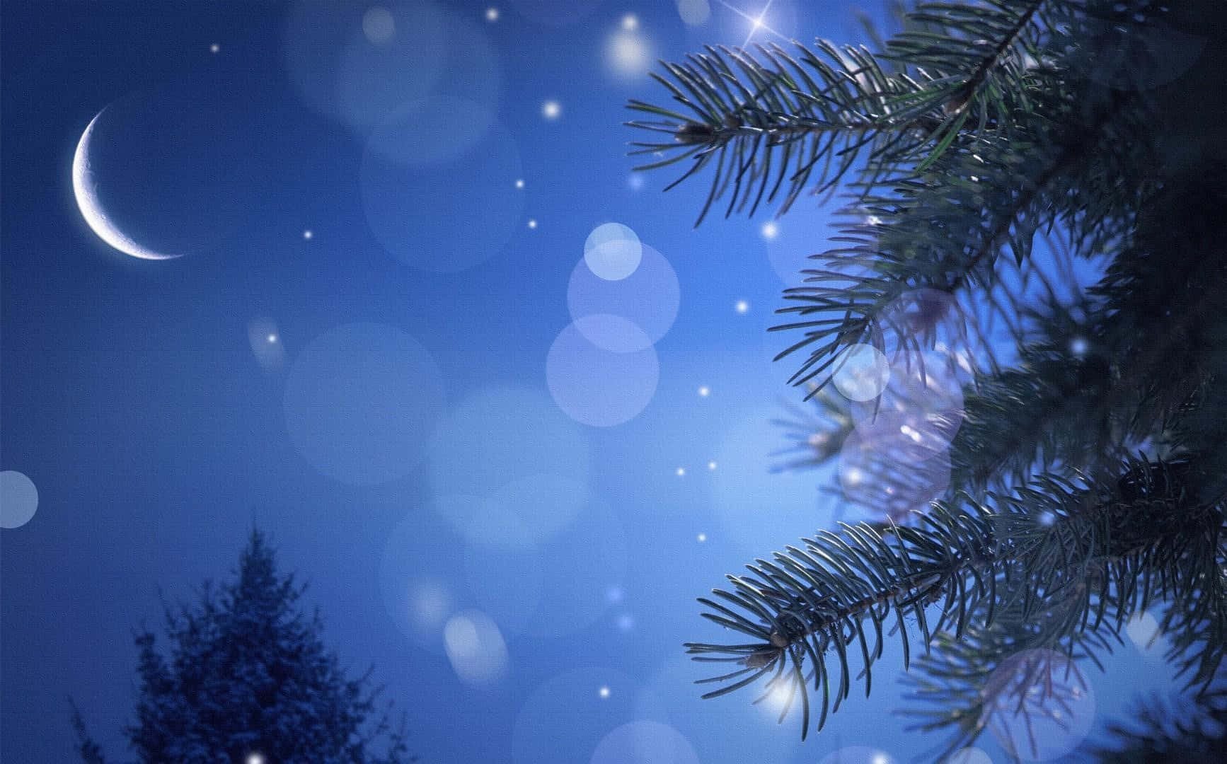 Crescent Moon 桌布 壁紙 — 寧靜的夜晚場景，松樹枝後有一彎新月和閃爍的星星，伴隨著柔和的散景燈光。