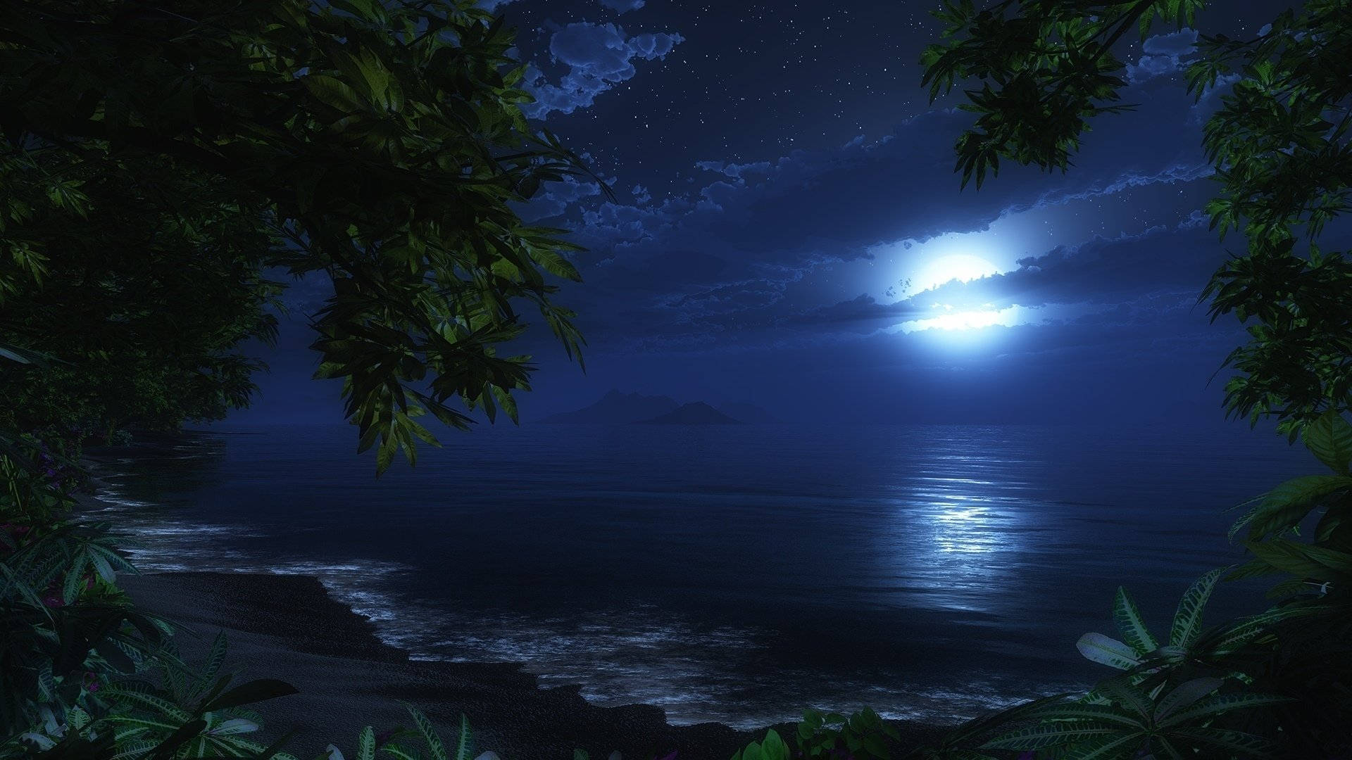 Tropical 桌布 壁紙 — 寧靜的夜景，明亮的月亮在平靜的海面上灑下閃爍的光芒，周圍環繞著茂密的綠色樹葉。
