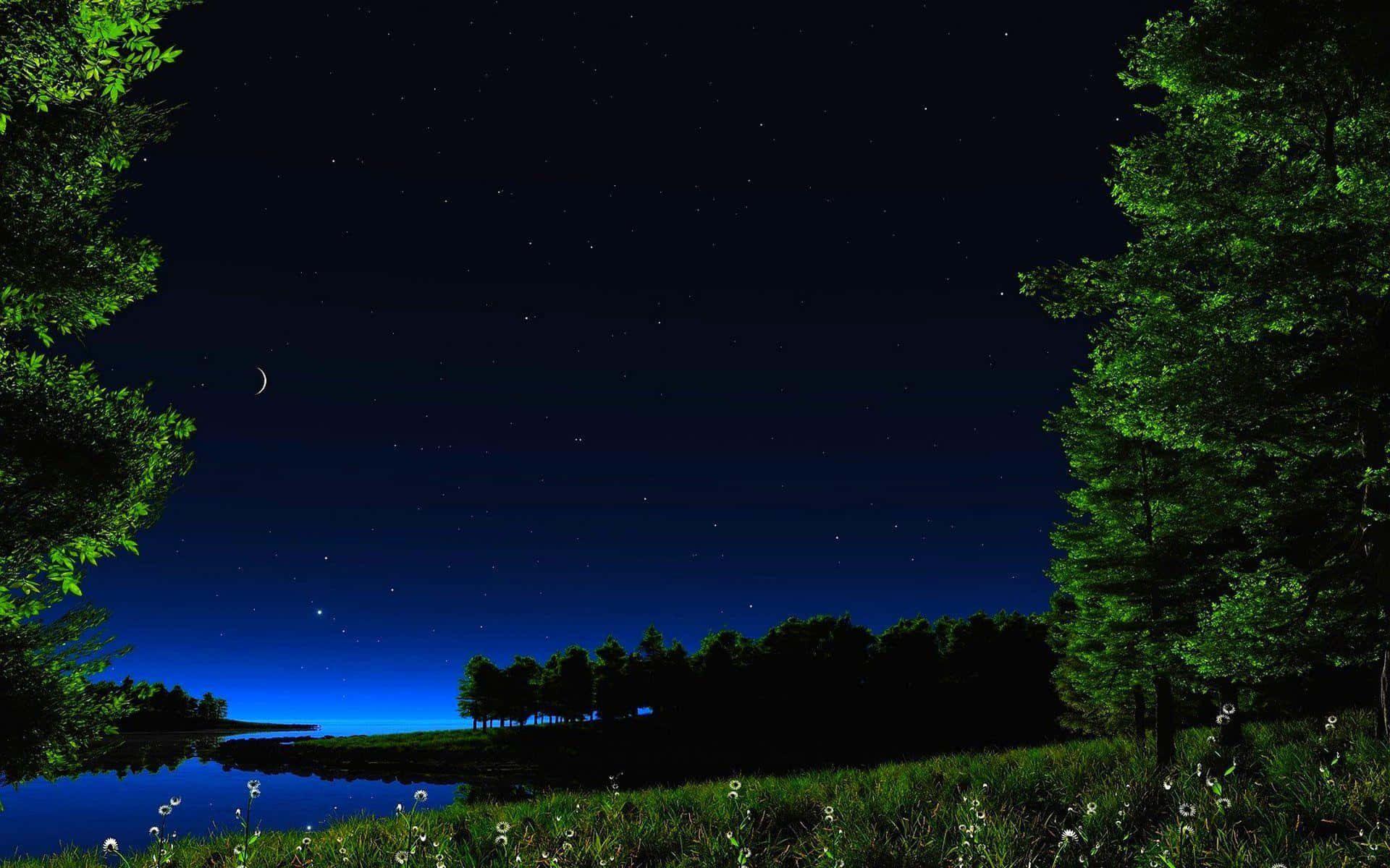 Starry Night Sky 桌布 壁紙 — 寧靜的夜景，星空、新月和發光的綠樹環繞著平靜的湖泊。