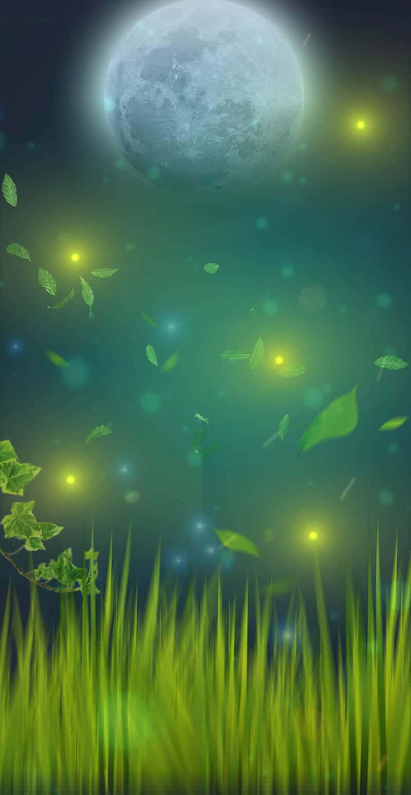 Firefly HD 桌布 壁紙 — 寧靜的夜景，滿月在發光的綠草和螢火蟲照亮的漂浮葉子上方閃耀。