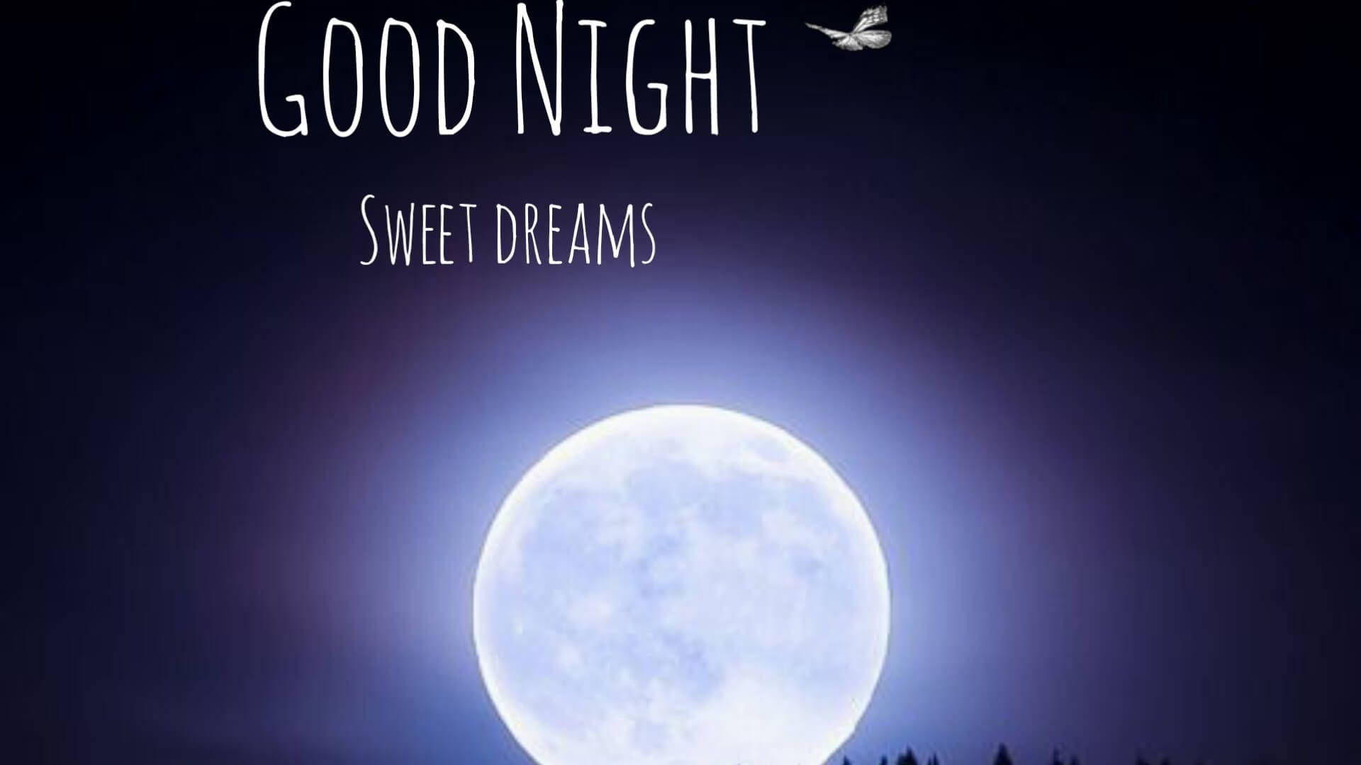 dreams 桌布 壁紙 — 寧靜的夜空中有明亮的滿月，上面寫著「晚安，甜美的夢」，還有一隻小鳥在飛翔。