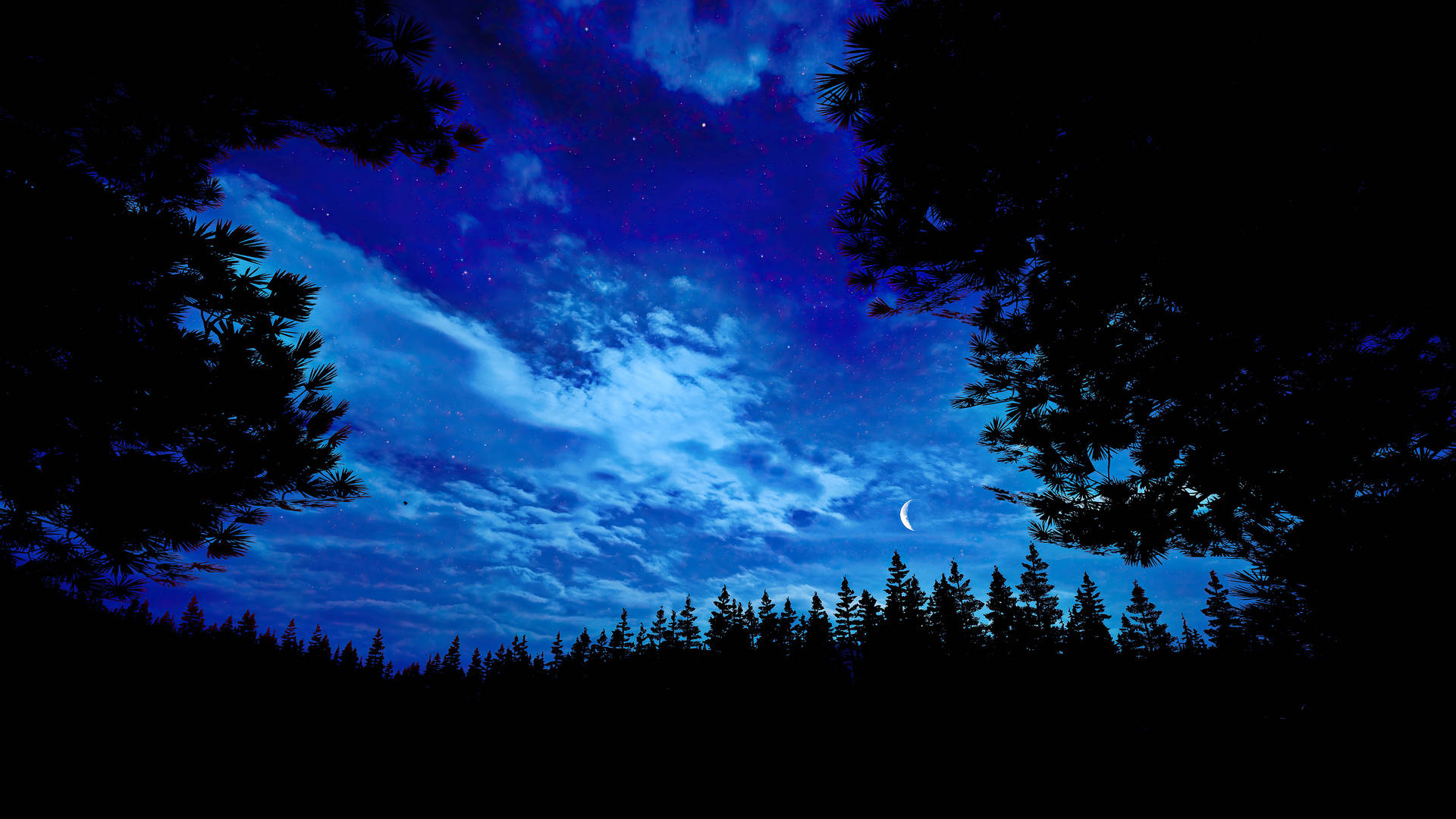Silhouette 桌布 壁紙 — 寧靜的夜空被樹木剪影框住，一彎新月和閃爍的星星在松樹林上方。