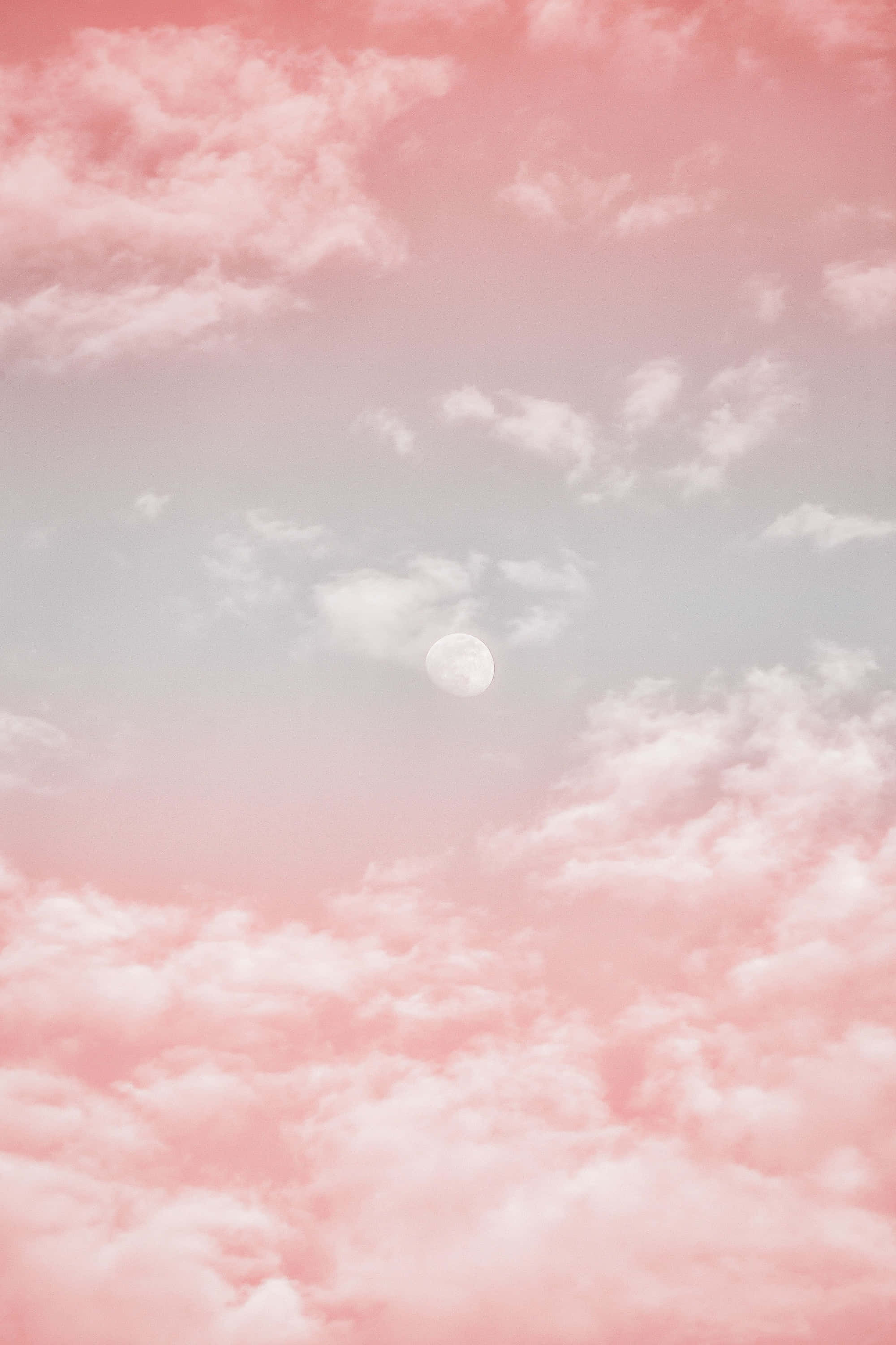 美學粉色GIF 桌布 壁紙 — 寧靜的天空中布滿柔和的粉紅雲朵，一輪蒼白的月亮透過薄霧溫柔地發光。