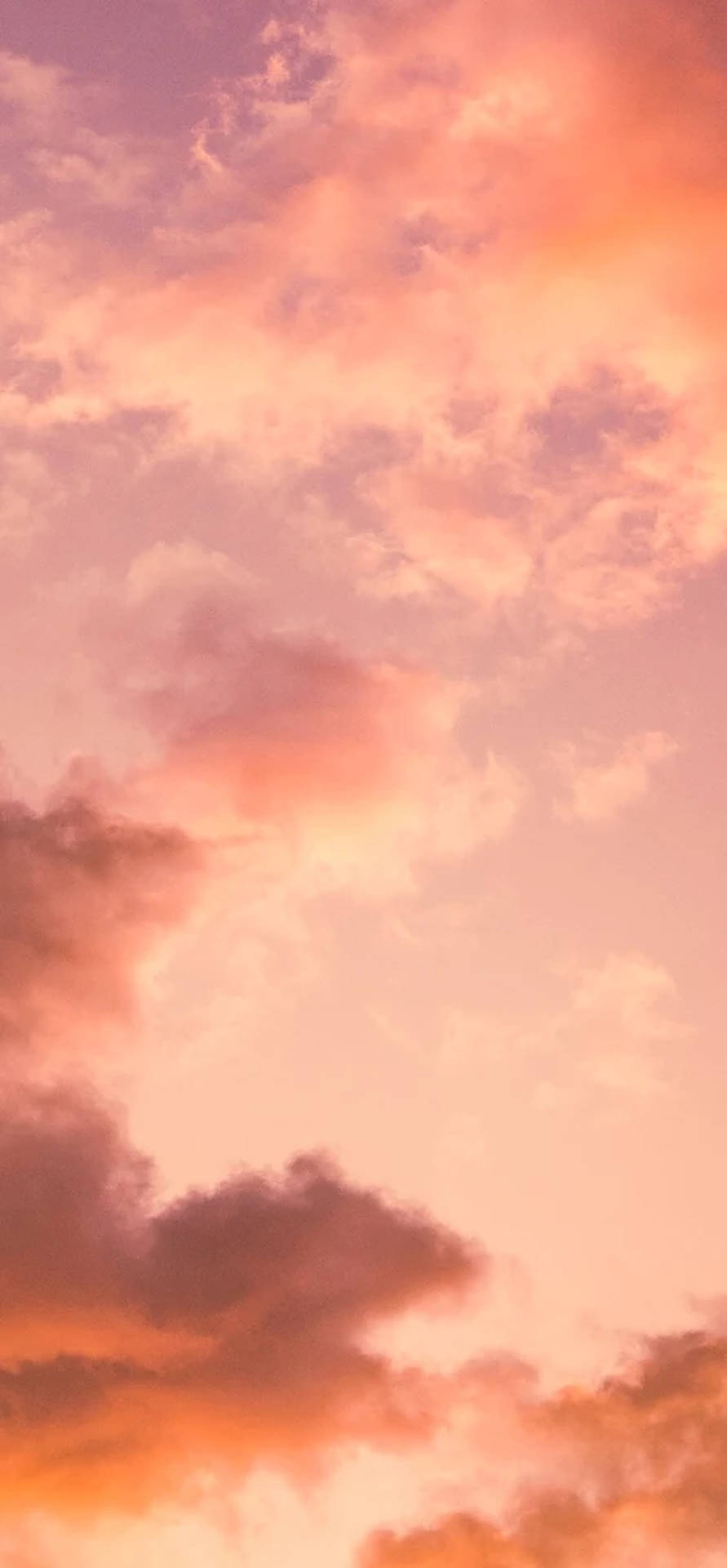夕陽下發光的柔和蜜桃和珊瑚雲