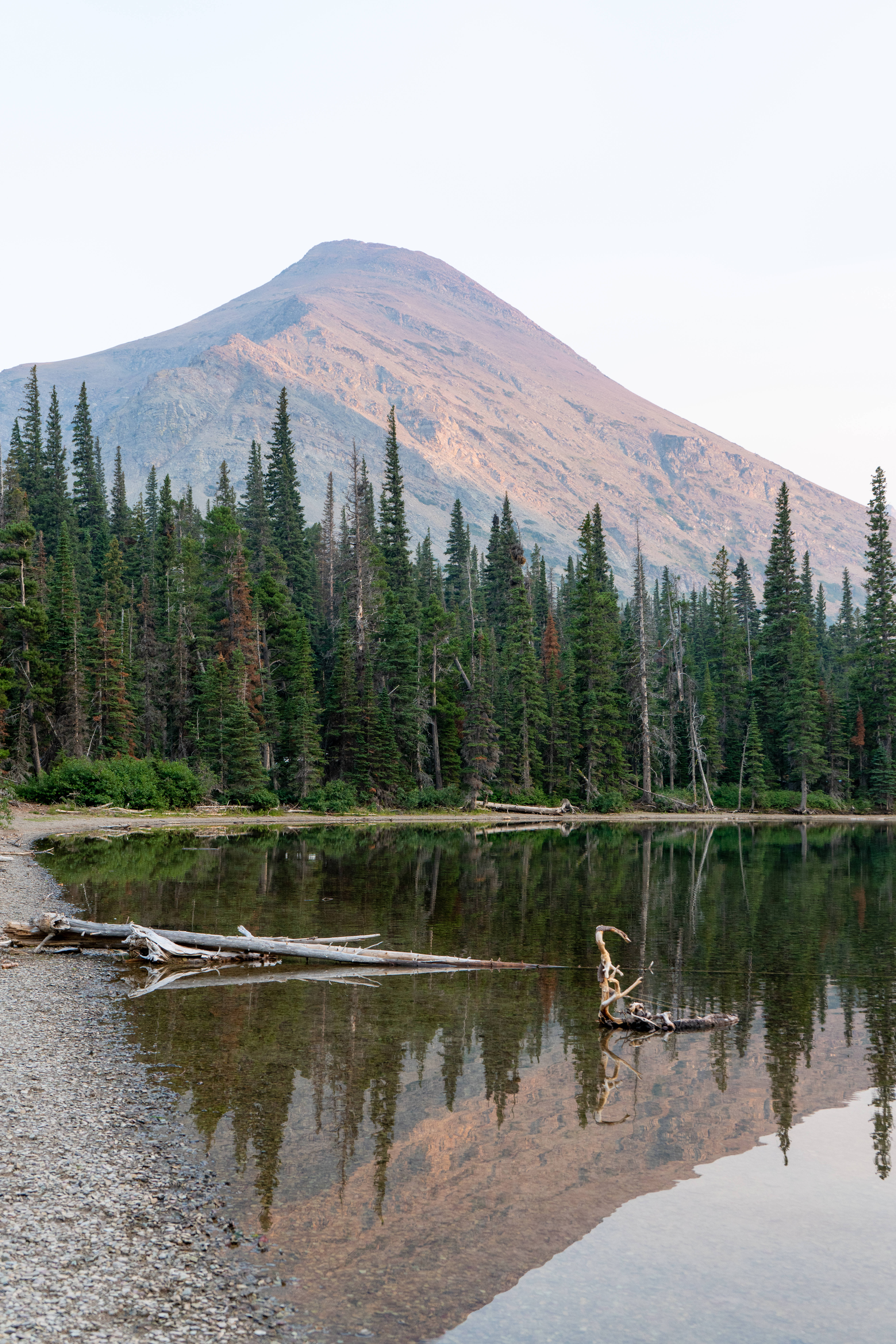 Montana 桌布 壁紙 — 寧靜的山湖在柔和的晨光下映照出高聳的山峰和茂密的松林。