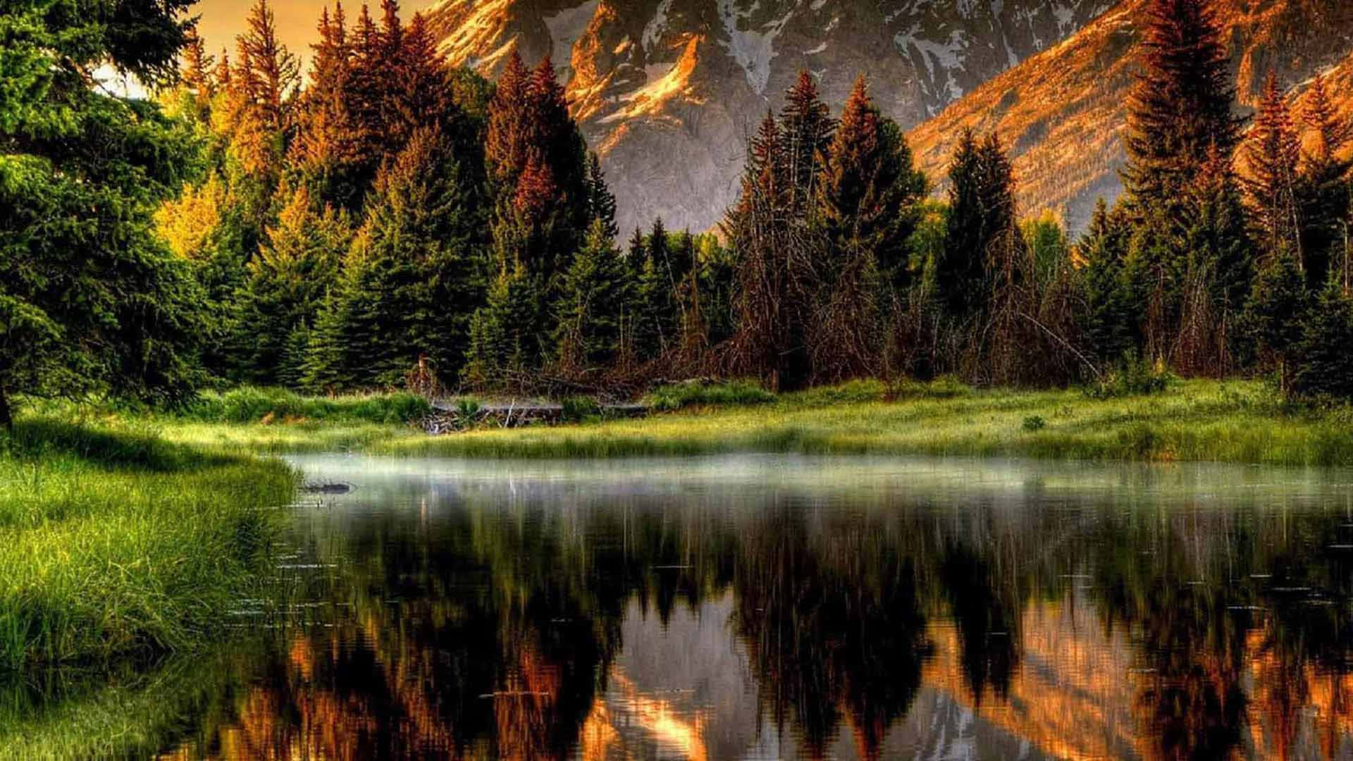 Mountain Scenery 桌布 壁紙 — 寧靜的山湖在溫暖的日出光線下反射出金色的山峰和常綠樹木。