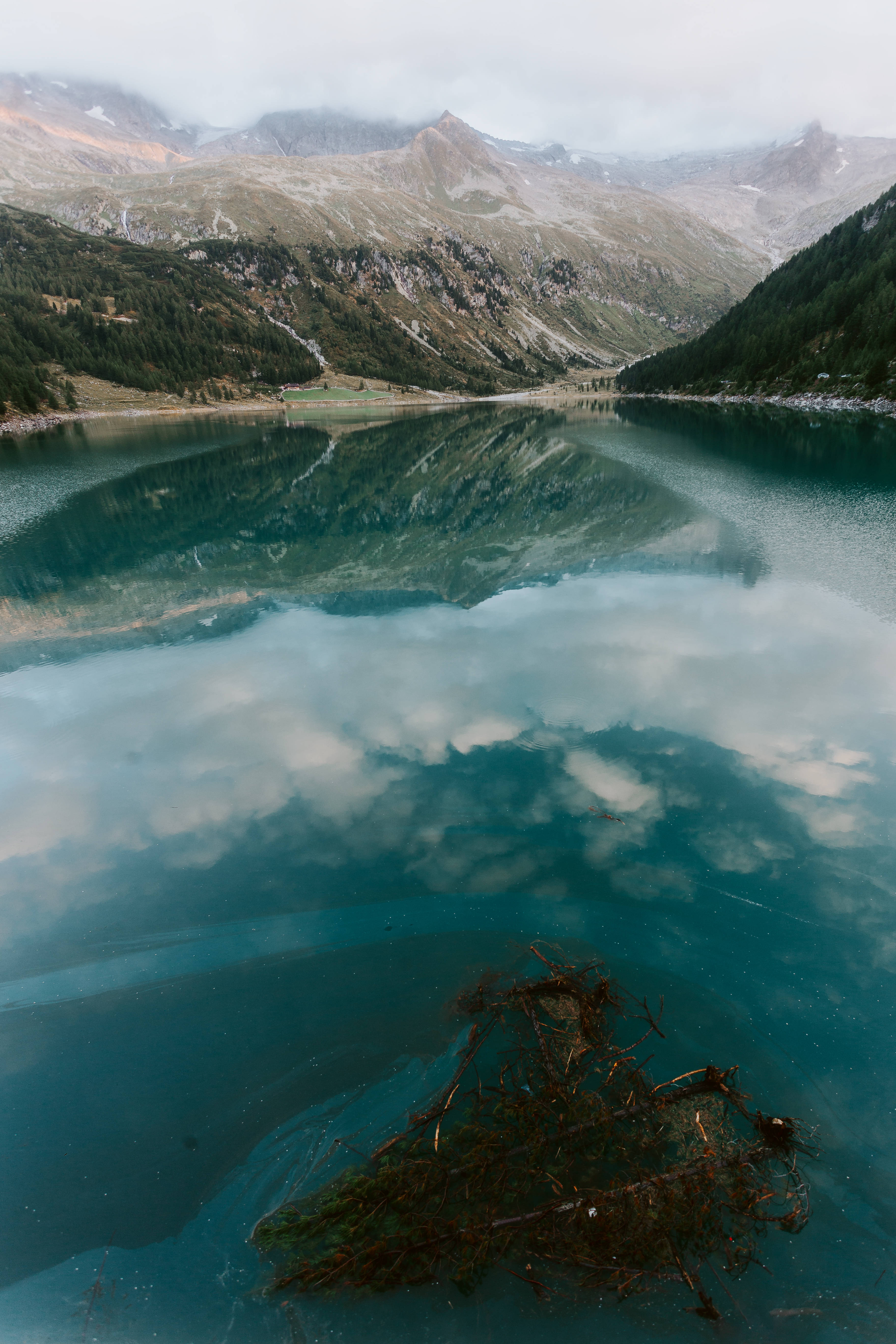 iOS 桌布 壁紙 — 寧靜的山湖映照著霧氣繚繞的山峰和多雲的天空，前景有一根纏繞的樹枝。