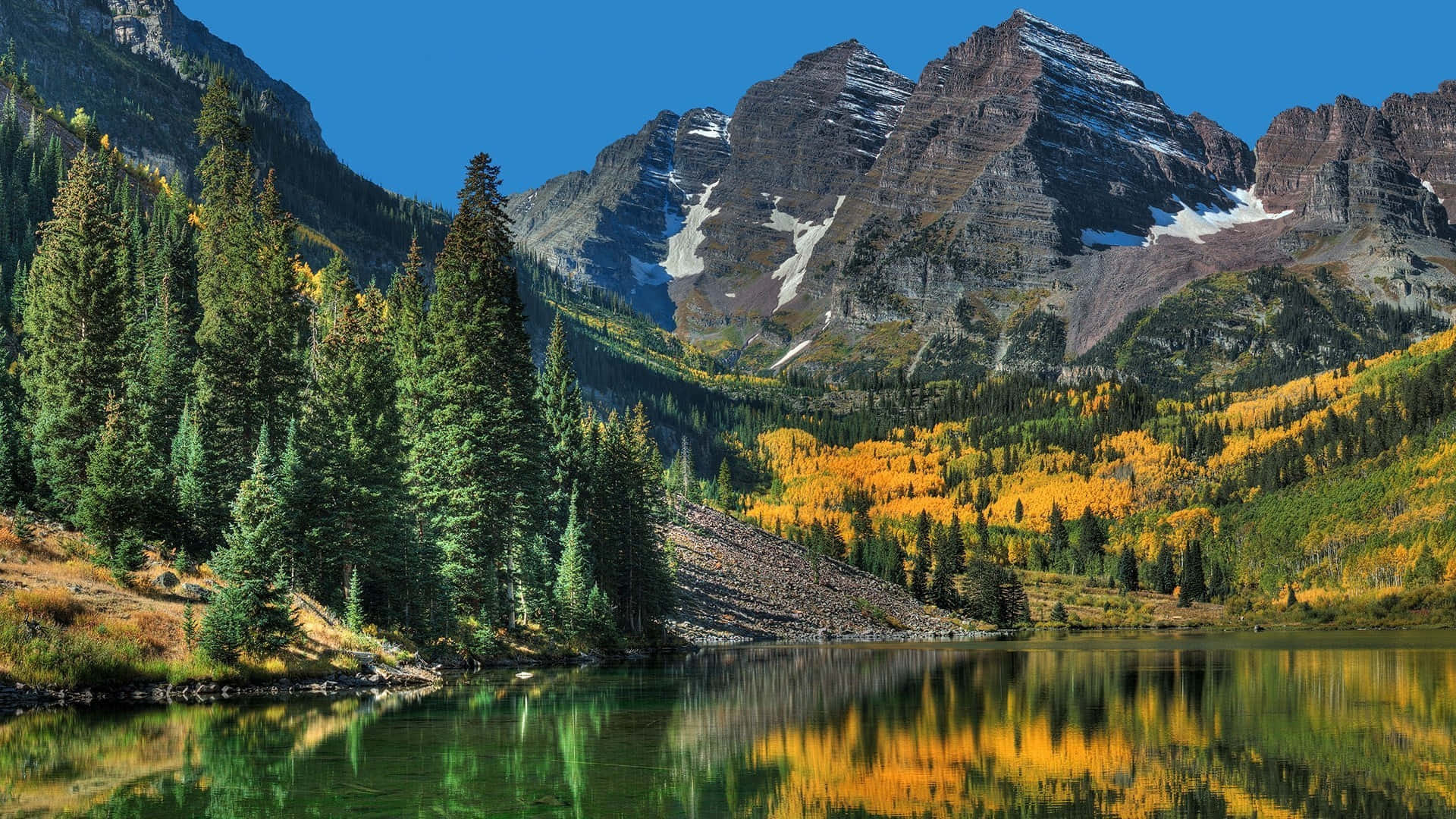 Colorado 桌布 壁紙 — 寧靜的山間湖泊映照著金黃色的白楊林和白雪覆蓋的山峰，天空湛藍清澈。