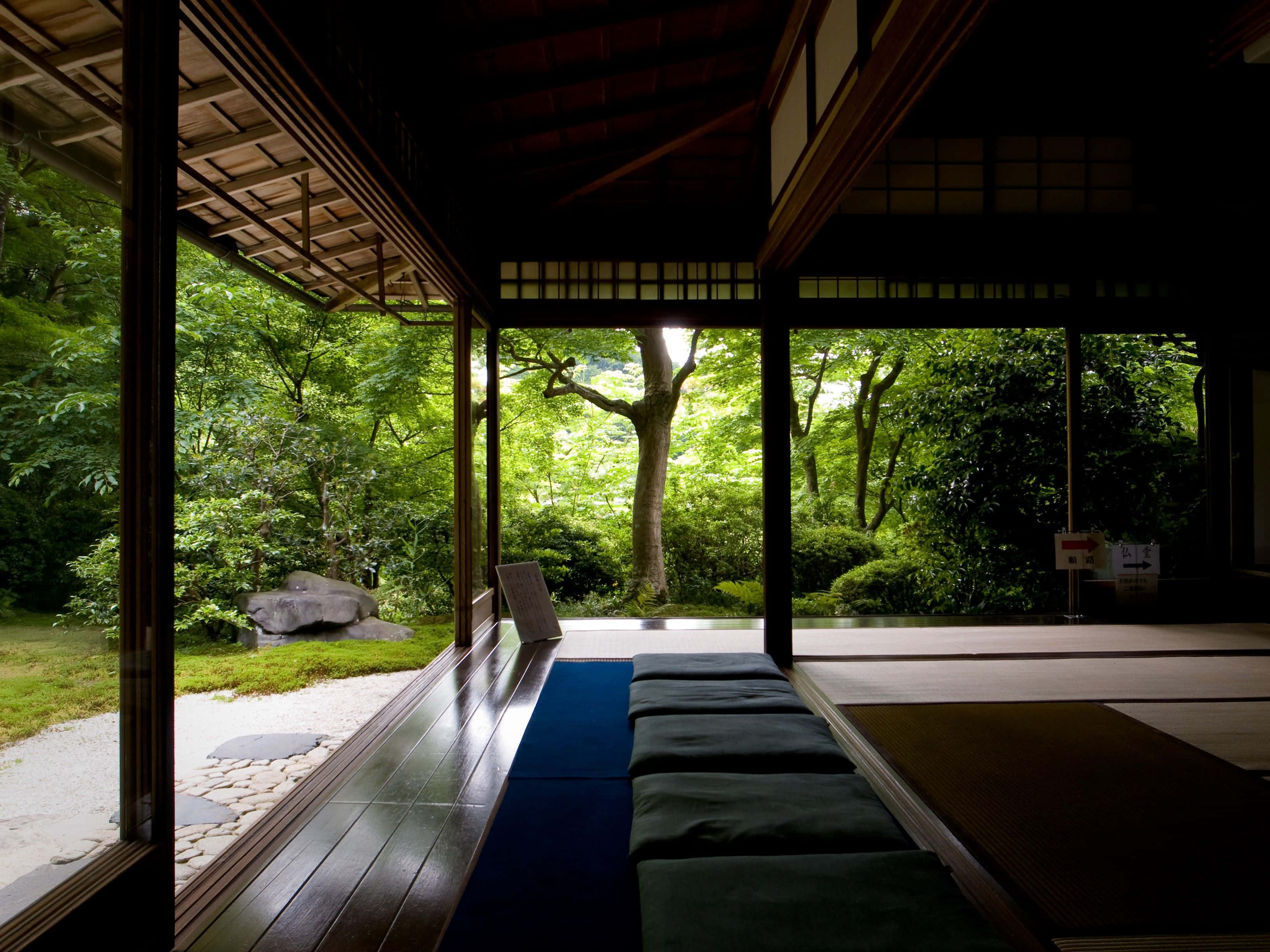 禪 桌布 壁紙 — 寧靜的日本茶室內部通向一個茂密的綠色花園，園內有石徑和成熟的樹木，沐浴在柔和的光線中。