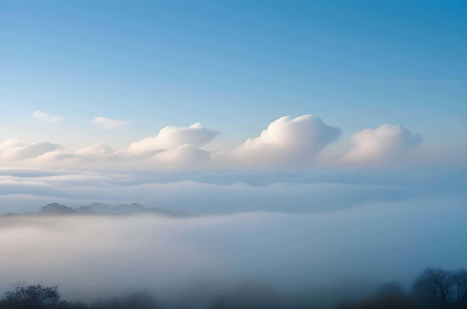 beautiful sky with natural views 壁紙 — 寧靜的早晨景色， fluffy 白色雲朵漂浮在霧海之上，遠處樹木的剪影映襯著清澈的藍天。