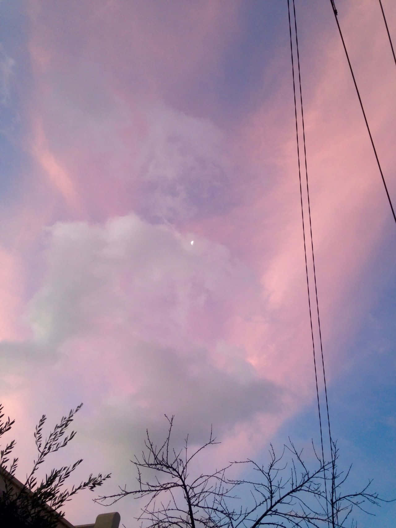 Cute Aesthetic iPad 桌布 壁紙 — 寧靜的暮色天空，塗上柔和的粉紅色和藍色調，薄雲和光禿的樹枝映襯出剪影。