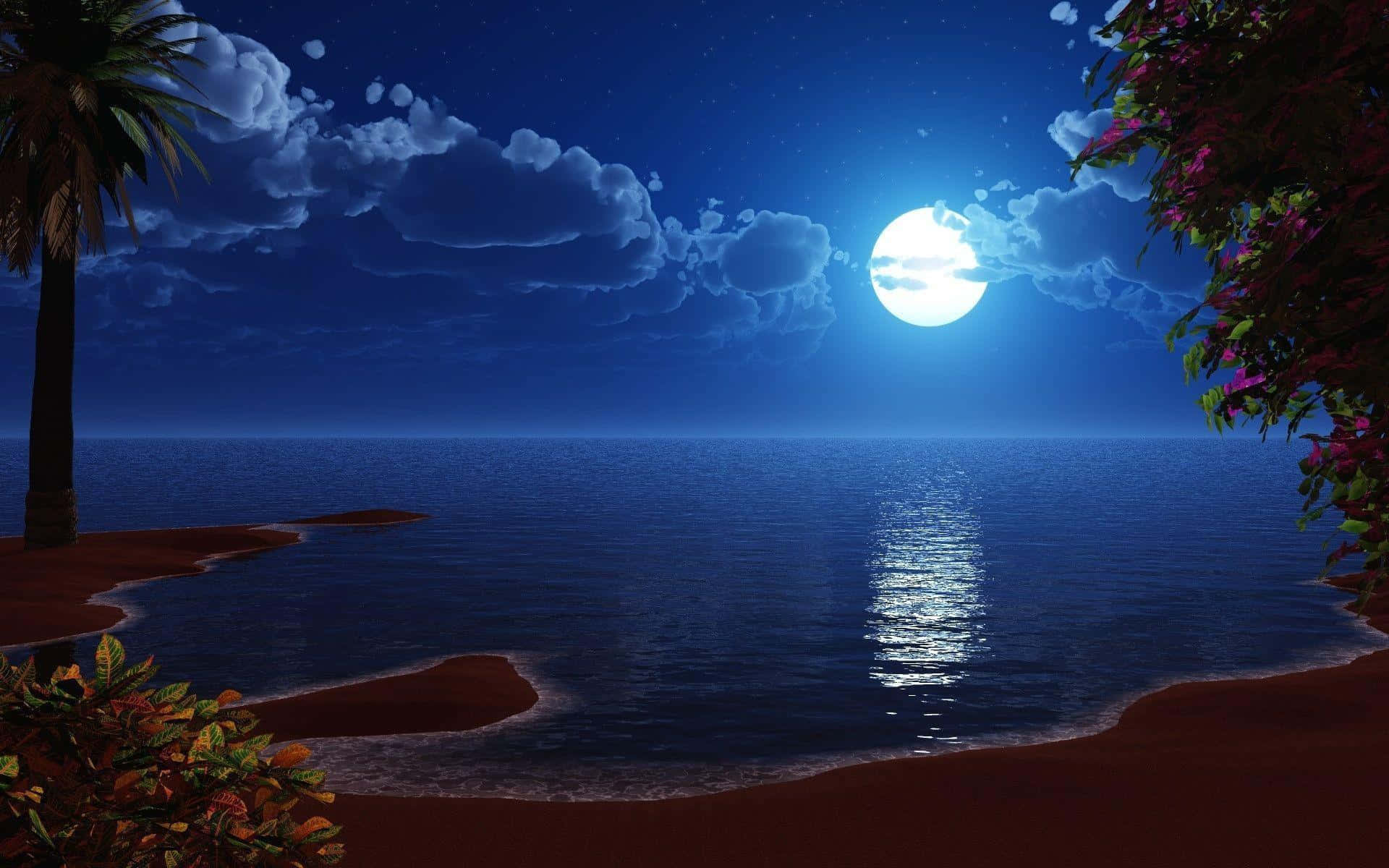 Beach At Night 桌布 壁紙 — 寧靜的月光海灘場景，滿月在平靜的海面上投射出閃爍的光芒，周圍環繞著棕櫚樹和開花的灌木叢。