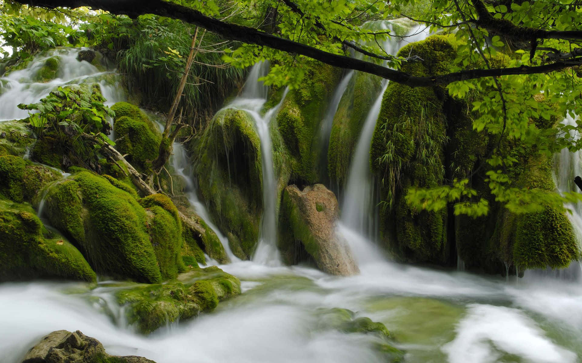 Beautiful Nature 桌布 壁紙 — 寧靜的森林瀑布在充滿活力的綠葉樹冠下流過長滿苔蘚的岩石。