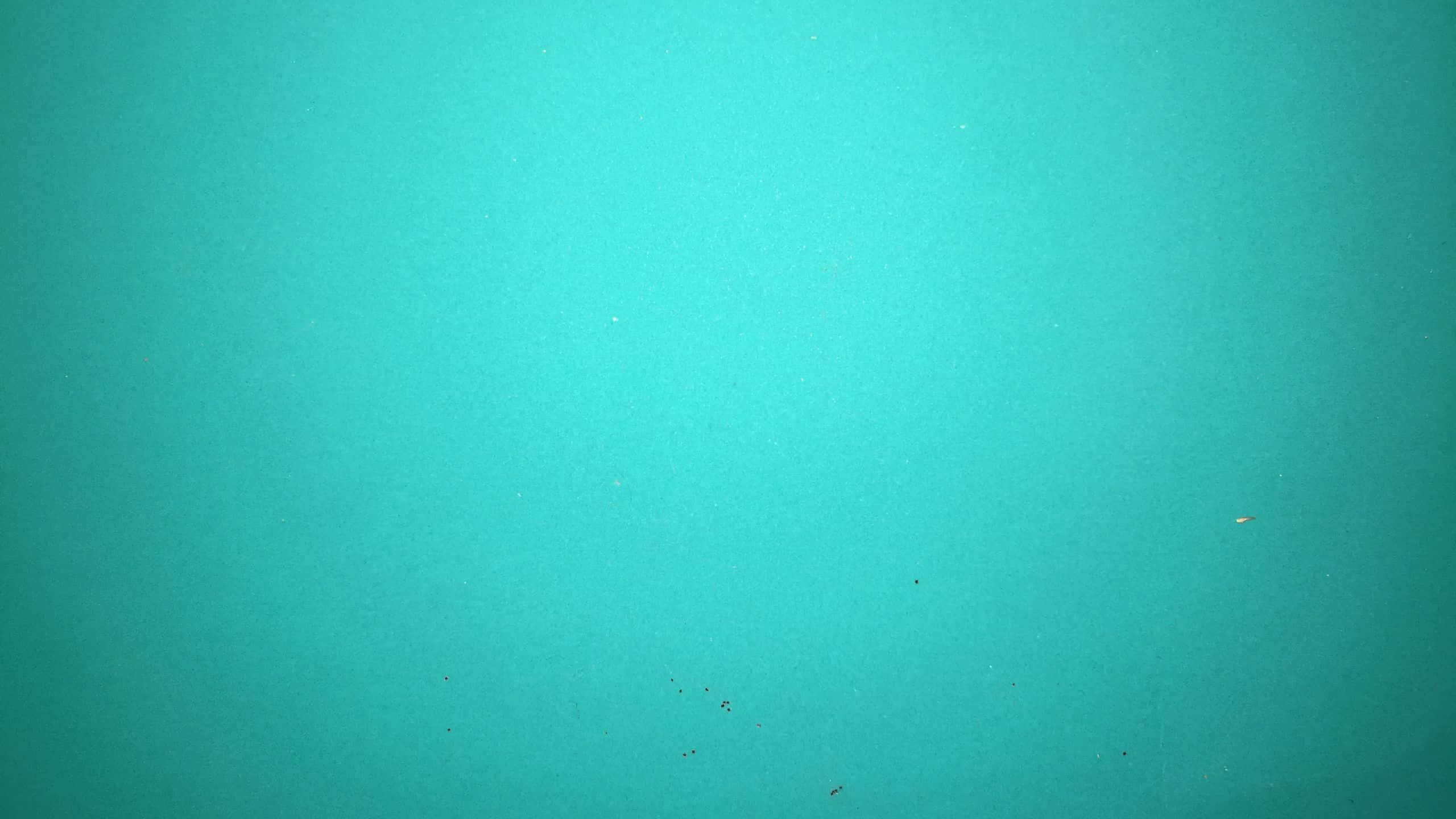 Solid Green 桌布 壁紙 — 寧靜的水下場景，帶有均勻的藍綠色調和散落的漂浮顆粒。