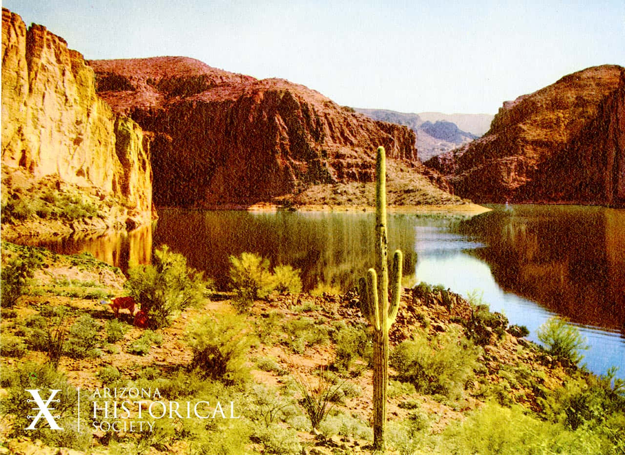 Arizona 桌布 壁紙 — 寧靜的沙漠峽谷湖泊映照著高聳的紅色岩壁，在清澈的藍天下，前景有一棵高大的薩瓜羅仙人掌。