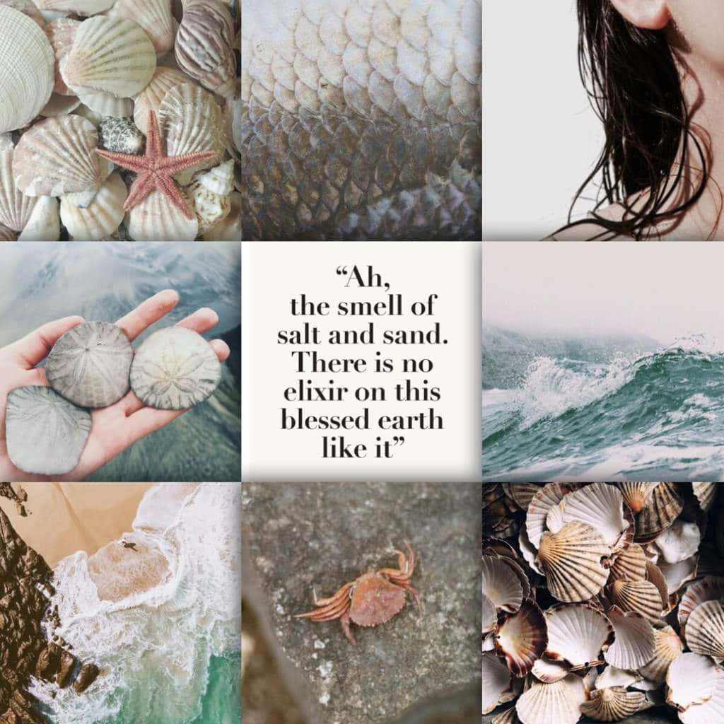 Sea Aesthetic 桌布 壁紙 — 寧靜的海岸拼貼畫， featuring 貝殼、海星、濕髮、海浪，以及一隻手握著沙錢，附有詩意引言。