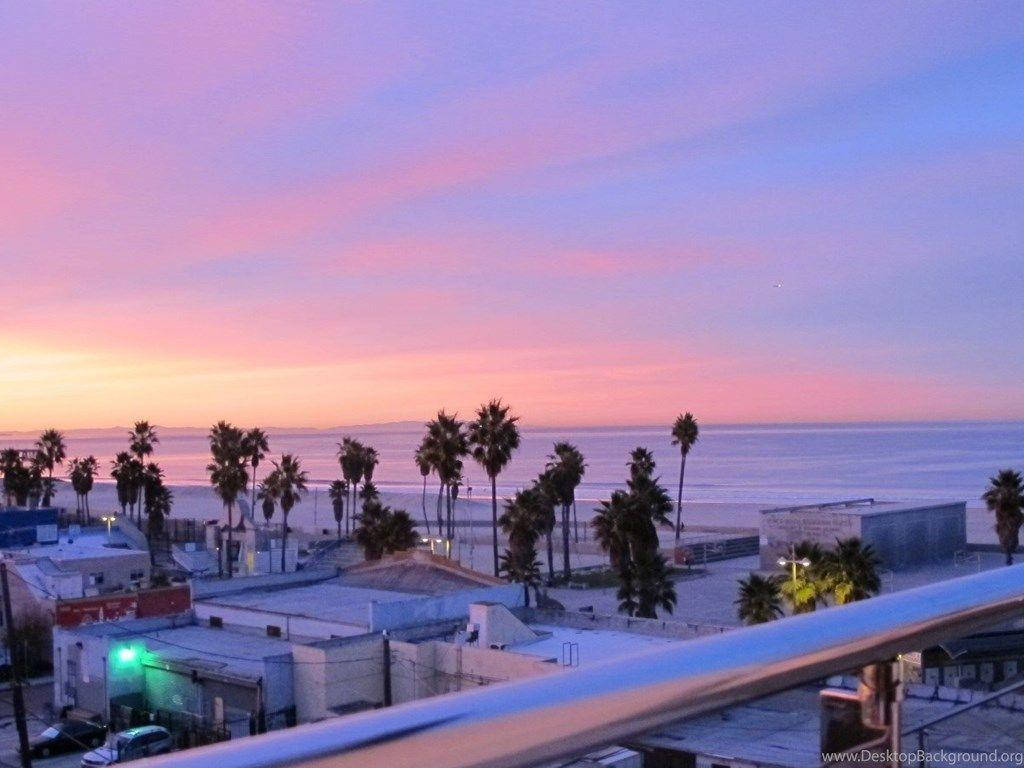 Venice Beach 桌布 壁紙 — 寧靜的海岸日落，棕櫚樹和海濱建築上方呈現粉紅色和紫色的天空。