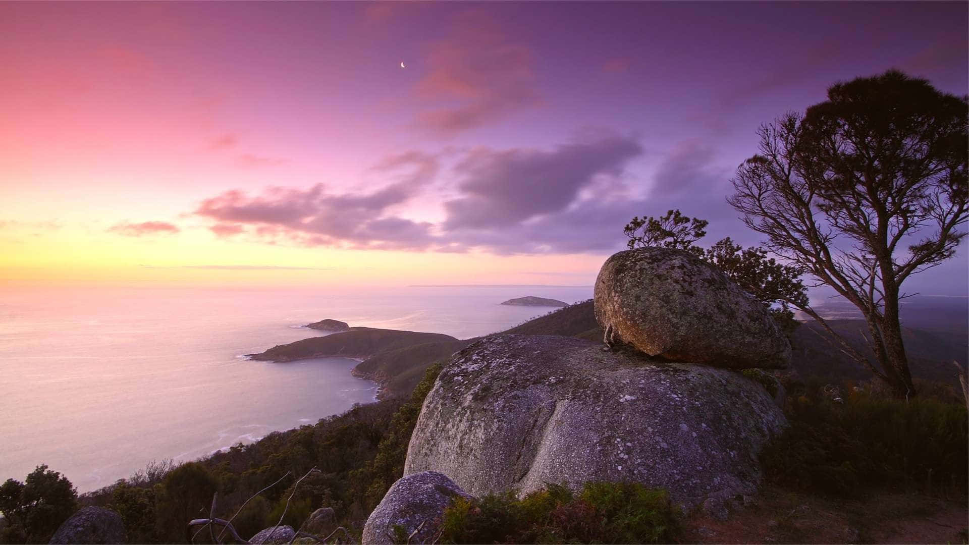 Calming Desktop 桌布 壁紙 — 寧靜的海岸日落，紫色和金色的天空映照著海洋懸崖和巨石，還有一棵孤獨的樹。