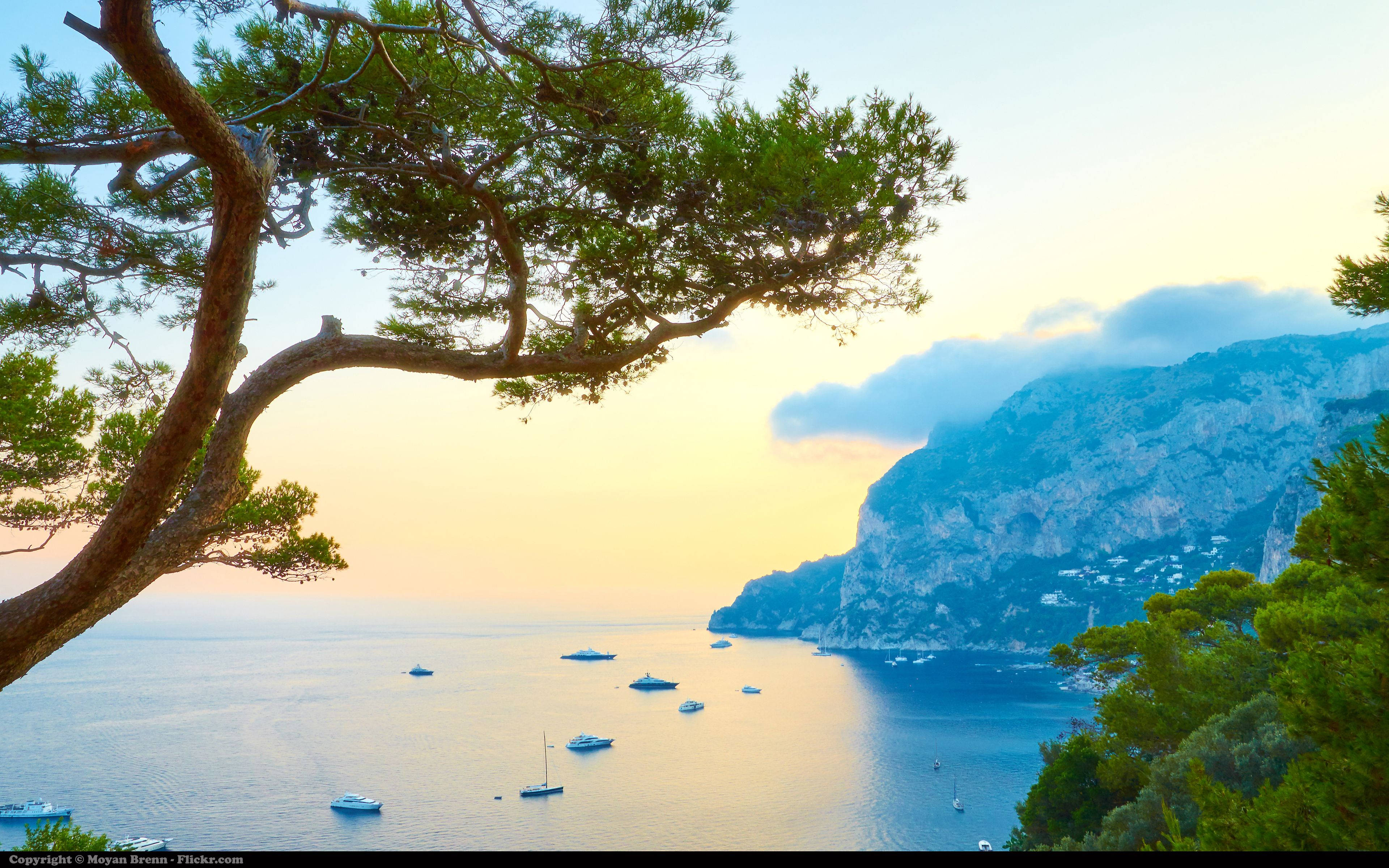 Capri 桌布 壁紙 — 寧靜的海岸日落，船隻點綴在平靜的藍色海面上，由一棵茂密的松樹和崎嶇的懸崖框住。