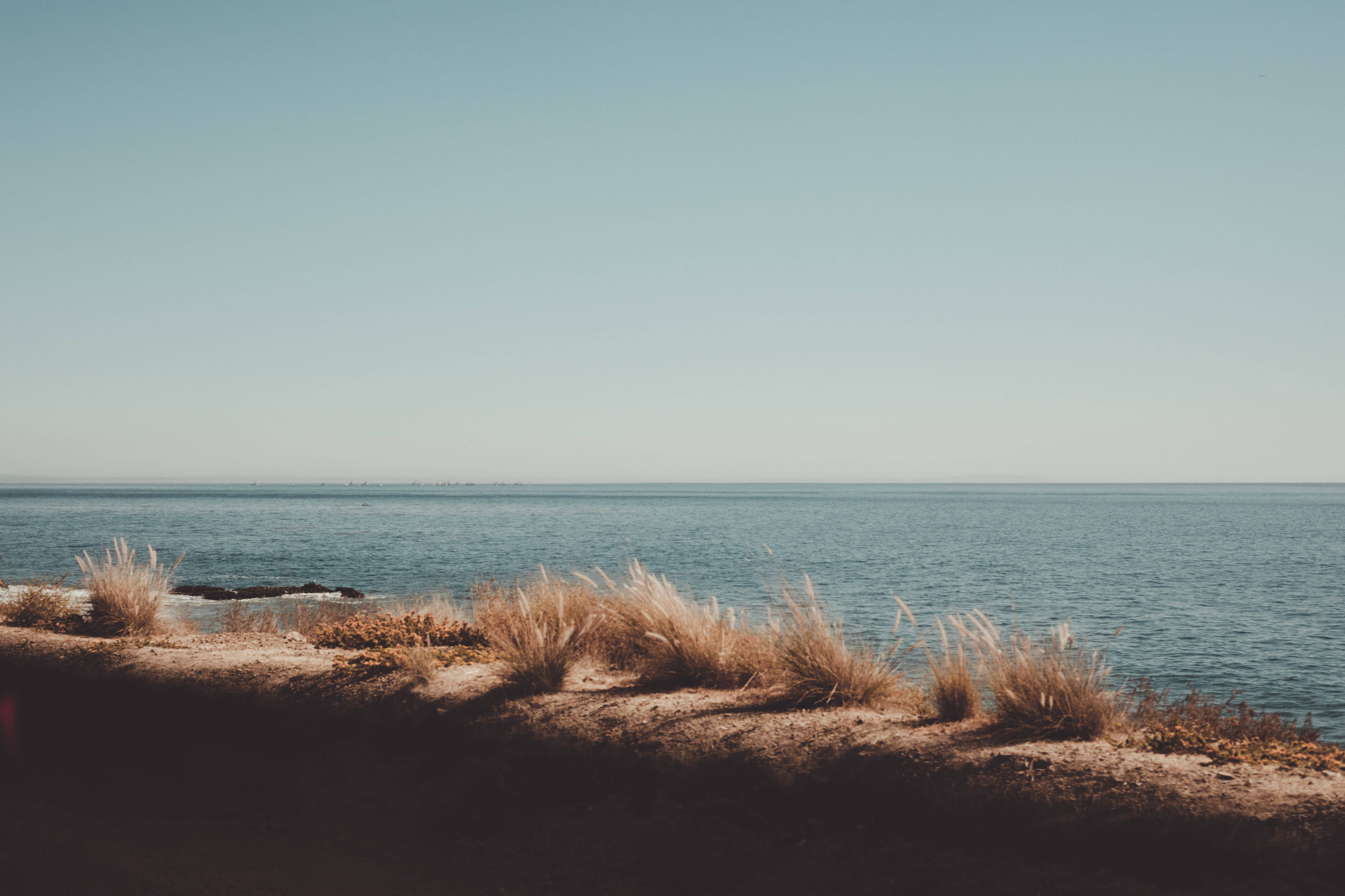 Sea 桌布 壁紙 — 寧靜的海岸景色，乾草在清澈藍天下於水邊搖曳。