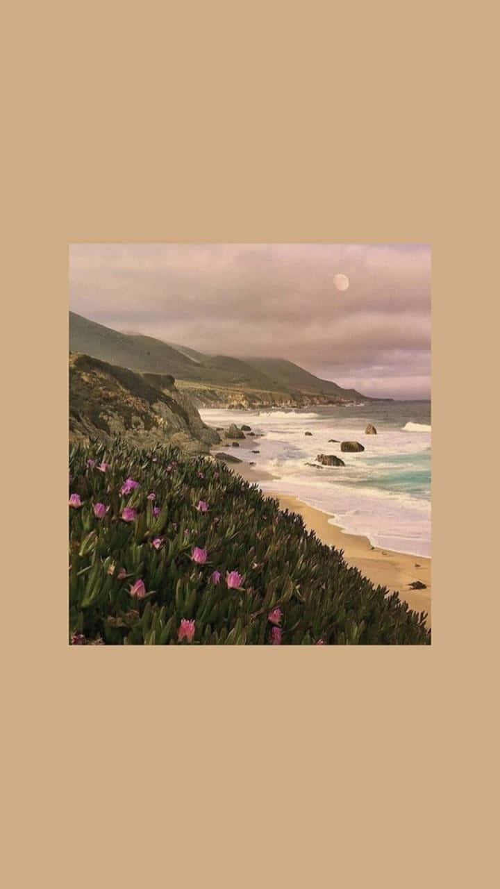 pastel 桌布 壁紙 — 寧靜的海岸景色，前景有紫色花朵，海浪拍打沙灘，滿月透過多雲的天空發光。