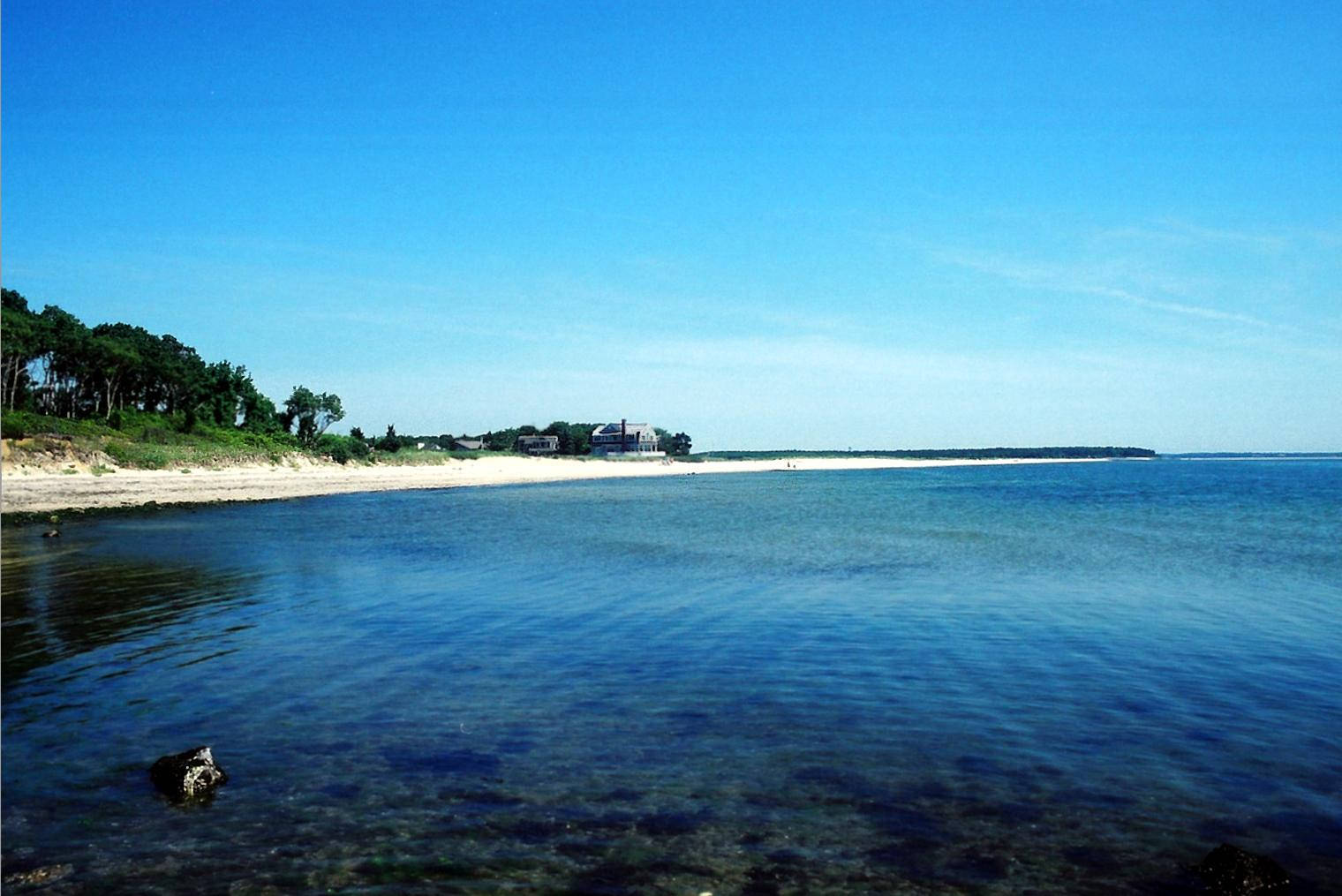 海灘 桌布 壁紙 — 寧靜的海岸景色，平靜的藍色海水與沙灘相接，沙灘上綠樹成蔭，遠處有房屋，天空晴朗。
