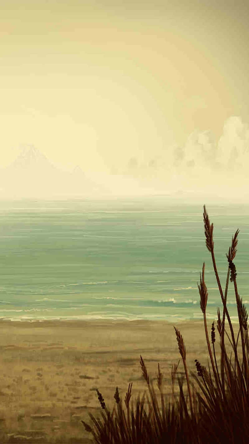 桌布 壁紙 — 寧靜的海灘場景，前景有高高的草，遠山在朦朧的天空下。