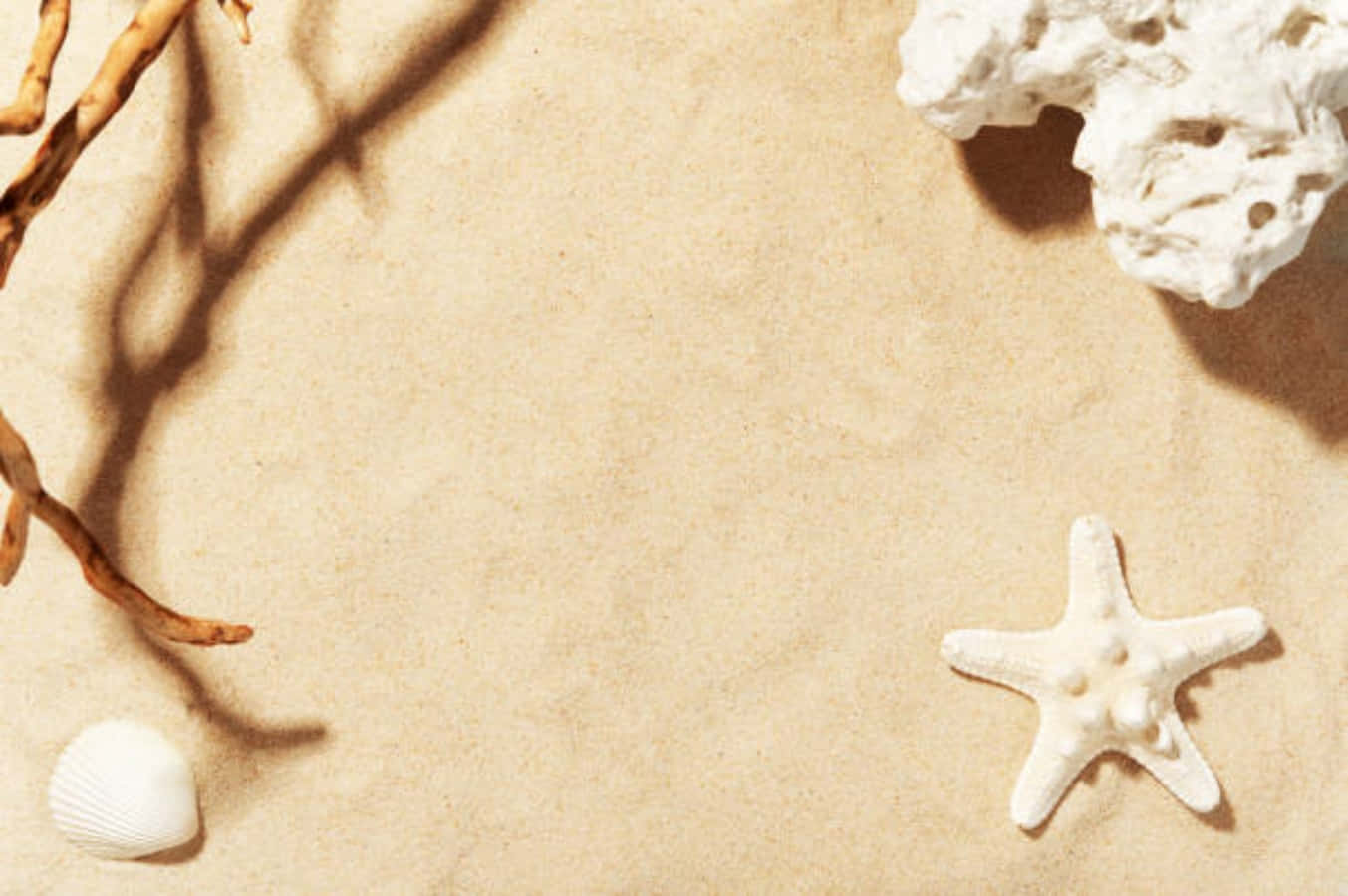 sand 桌布 壁紙 — 寧靜的海灘場景，白色海星、貝殼、珊瑚和浮木在溫暖的沙灘上投下柔和陰影。