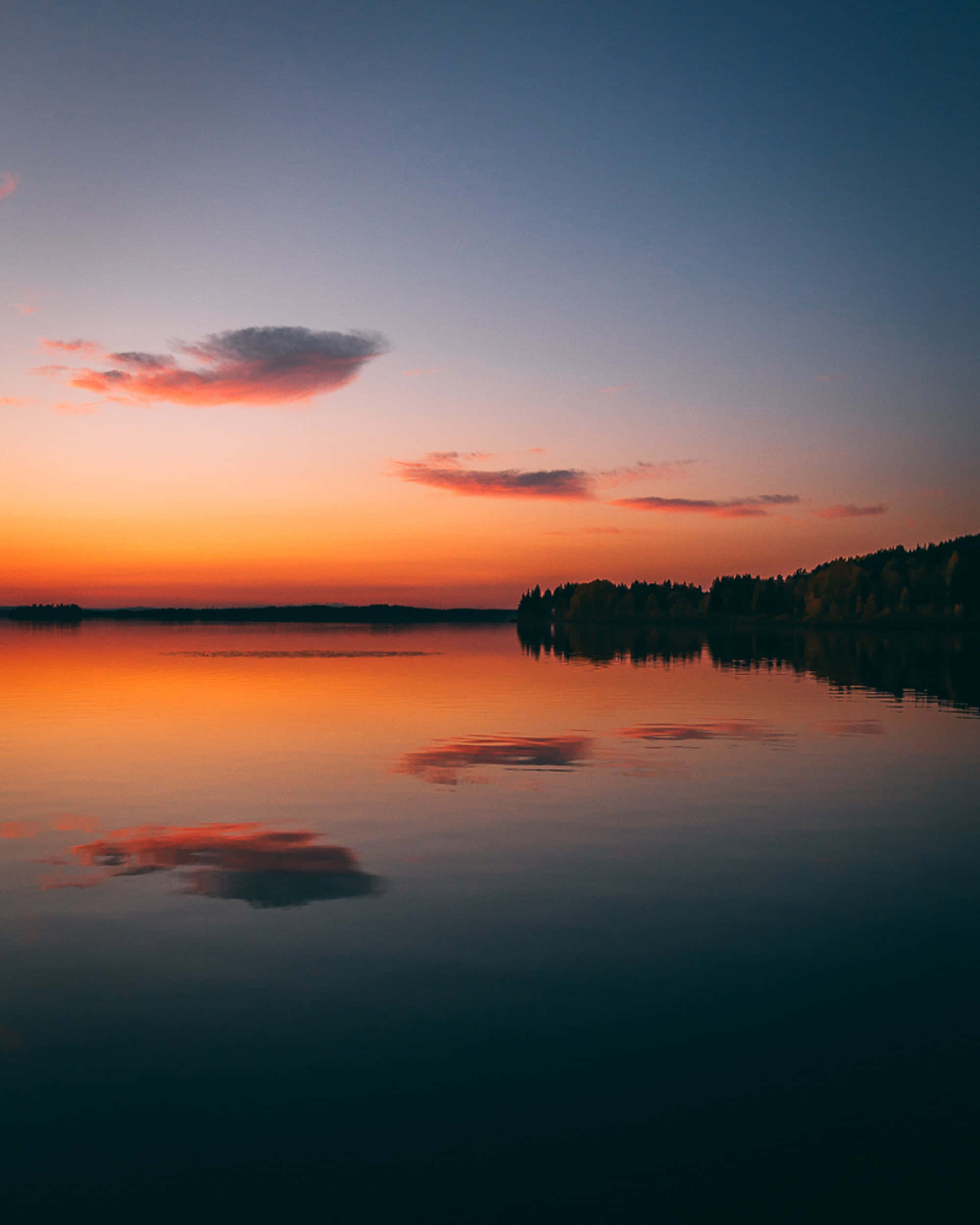 Calm 桌布 壁紙 — 寧靜的湖泊映照著火紅橙色和粉紅色的日落雲彩，背景是深藍色的暮色天空和遠處樹木成行的湖岸。