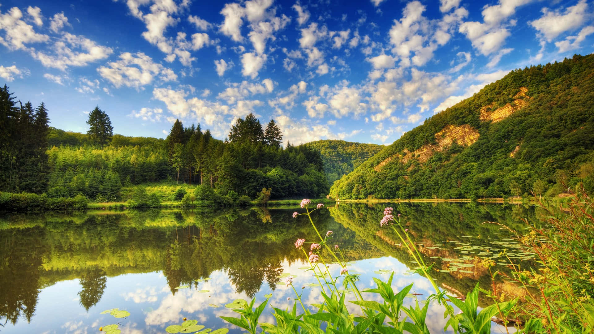 Photography Nature 桌布 壁紙 — 寧靜的湖面倒映著蔚藍的天空、蓬鬆的白雲和鬱鬱蔥蔥的森林山坡。