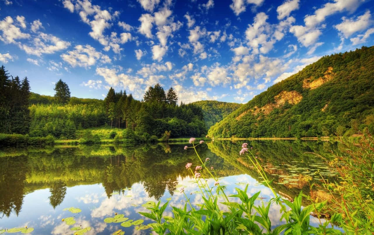 Beautiful Lake 桌布 壁紙 — 寧靜的湖面倒映著蔚藍的天空、蓬鬆的白雲和鬱鬱蔥蔥的森林山丘。