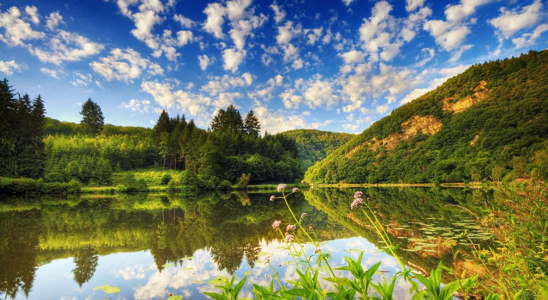 Summer Landscape 桌布 壁紙 — 寧靜的湖面倒映著蔚藍的天空，點綴著蓬鬆的白雲和鬱鬱蔥蔥的森林山丘。