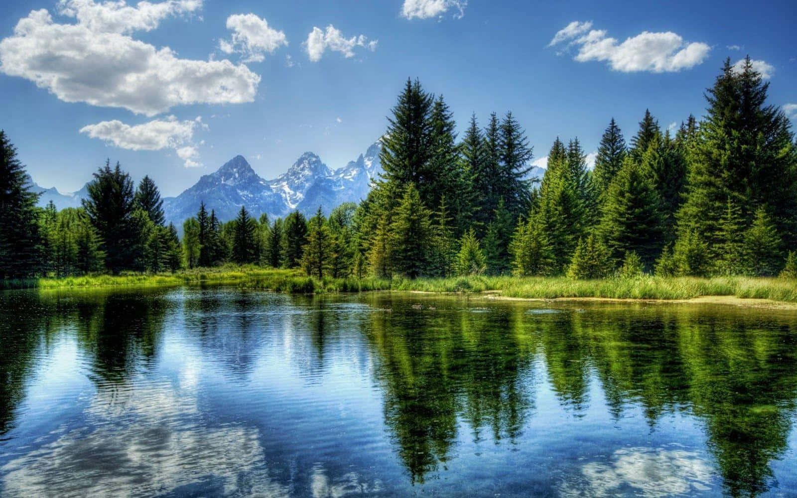 Beautiful Nature 桌布 壁紙 — 寧靜的湖面映照著白雪覆蓋的山脈和常青樹，天空湛藍，白雲朵朵。