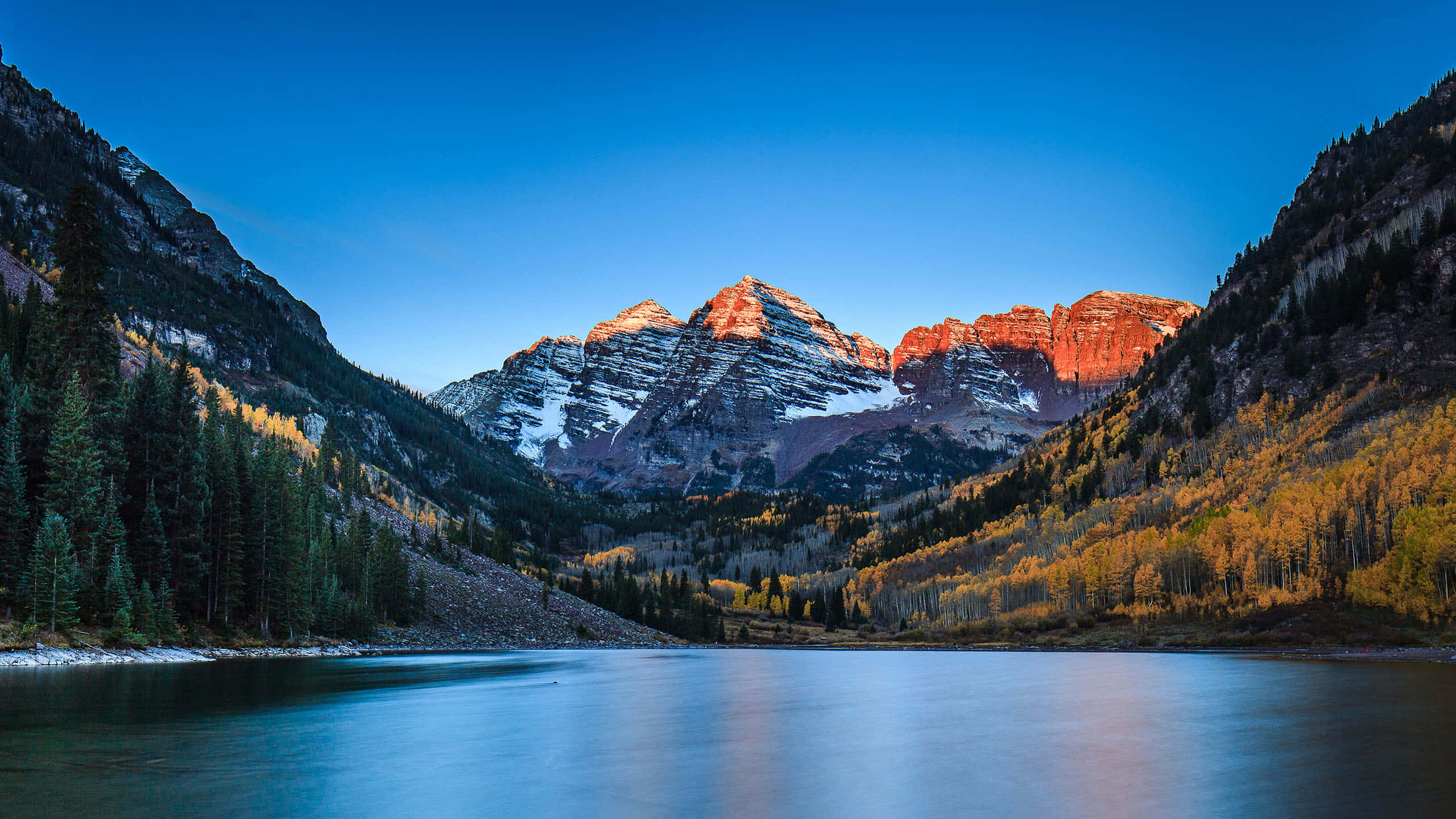 Colorado Mountain 桌布 壁紙 — 寧靜的湖面映照著被雪覆蓋的山脈，在金色夕陽下閃耀，四周環繞著常綠樹和山楊林。
