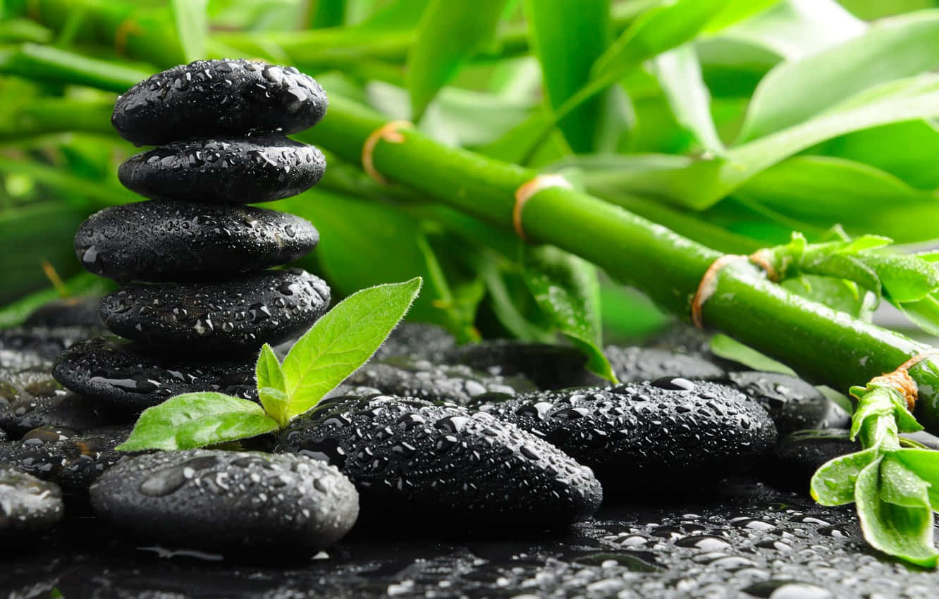 禪 桌布 壁紙 — 寧靜的濕黑石堆，旁邊是閃爍露珠的鮮綠竹子和葉子。