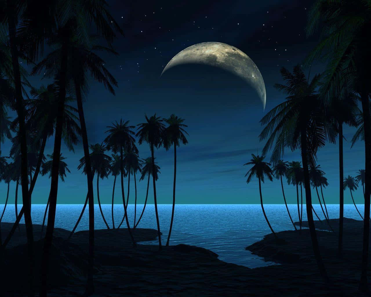 Beach At Night 桌布 壁紙 — 寧靜的熱帶夜晚海灘，棕櫚樹在彎月和星空下形成剪影。