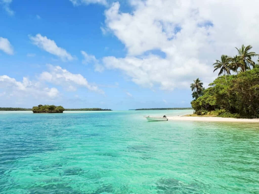 Caribbean Island 桌布 壁紙 — 寧靜的熱帶海灘，碧綠的海水、棕櫚樹，以及一艘停泊在白色沙灘附近的小船，在明亮的藍天下。