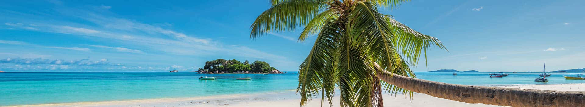 Jamaican Beach 桌布 壁紙 — 寧靜的熱帶海灘，碧綠的海水、白色的沙灘，以及一棵棕櫚樹在清澈的藍天下勾勒出遠處鬱鬱蔥蔥的島嶼。