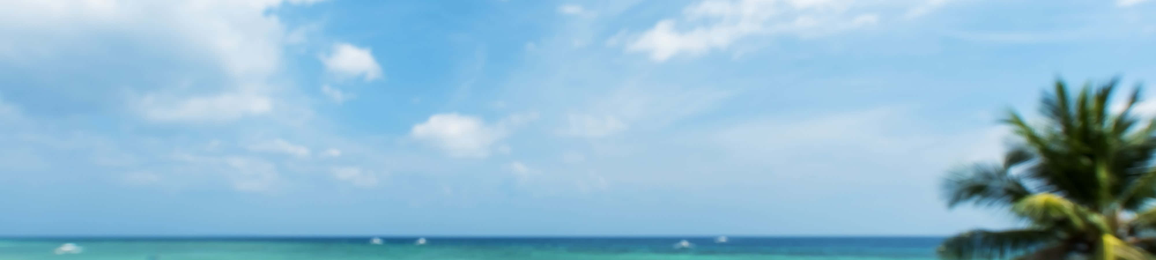 4K 自然 桌布 壁紙 — 寧靜的熱帶海灘場景，碧綠色的海洋與明亮的藍天相接，點綴著蓬鬆的白雲，右邊有一棵棕櫚樹。
