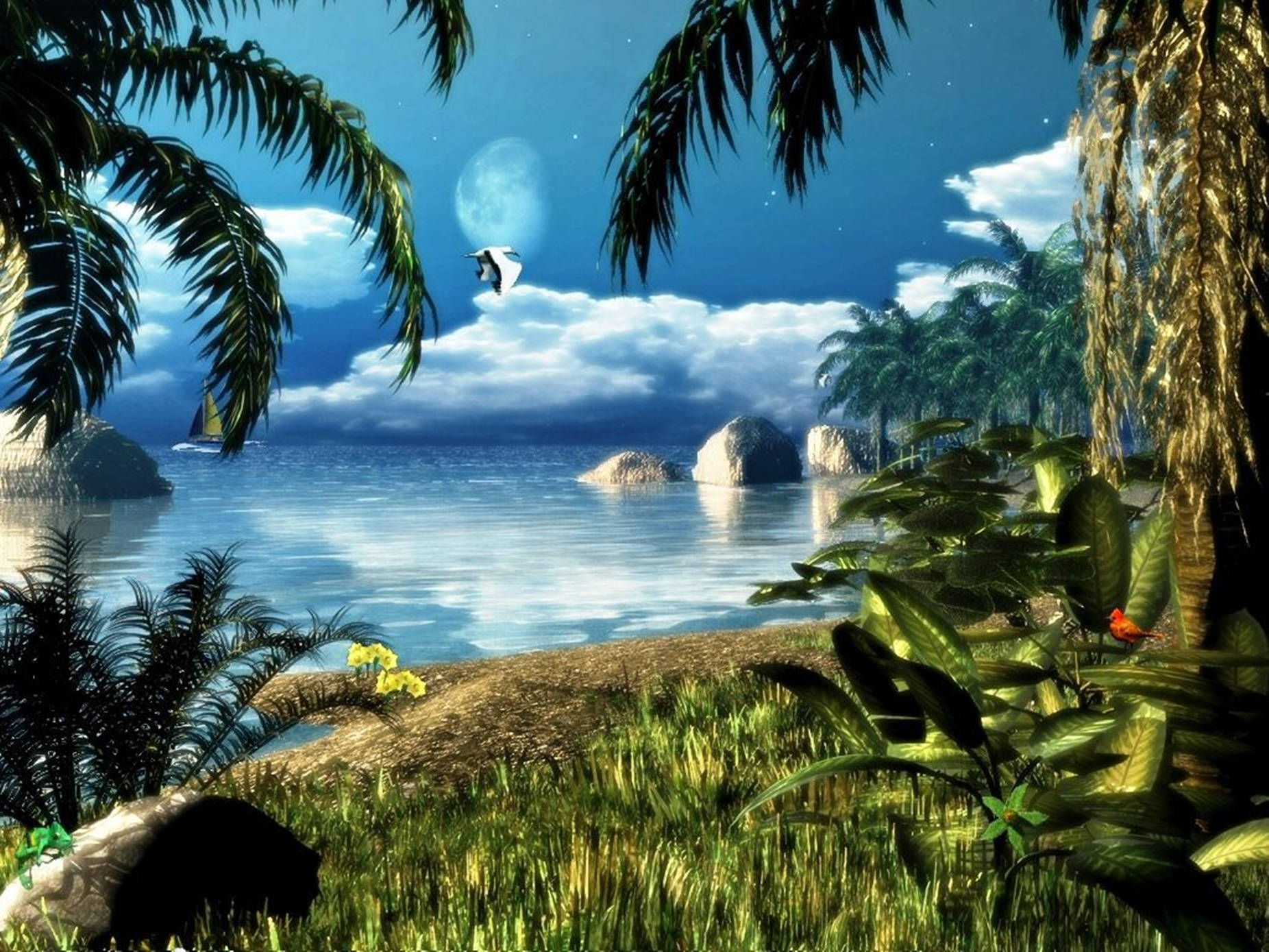 棕櫚樹 桌布 壁紙 — 寧靜的熱帶海灘夜景，棕櫚樹在滿月下閃耀，一隻鳥在平靜的水面上飛翔。