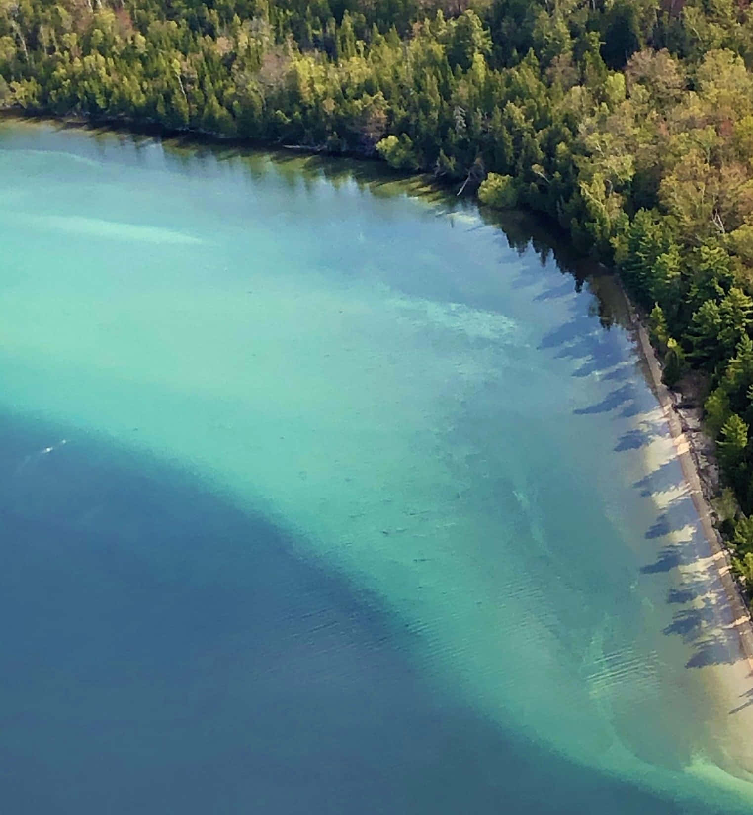 Torch Lake 桌布 壁紙 — 寧靜的碧綠湖泊的鳥瞰圖，周圍環繞著茂密的綠色森林和沙灘。