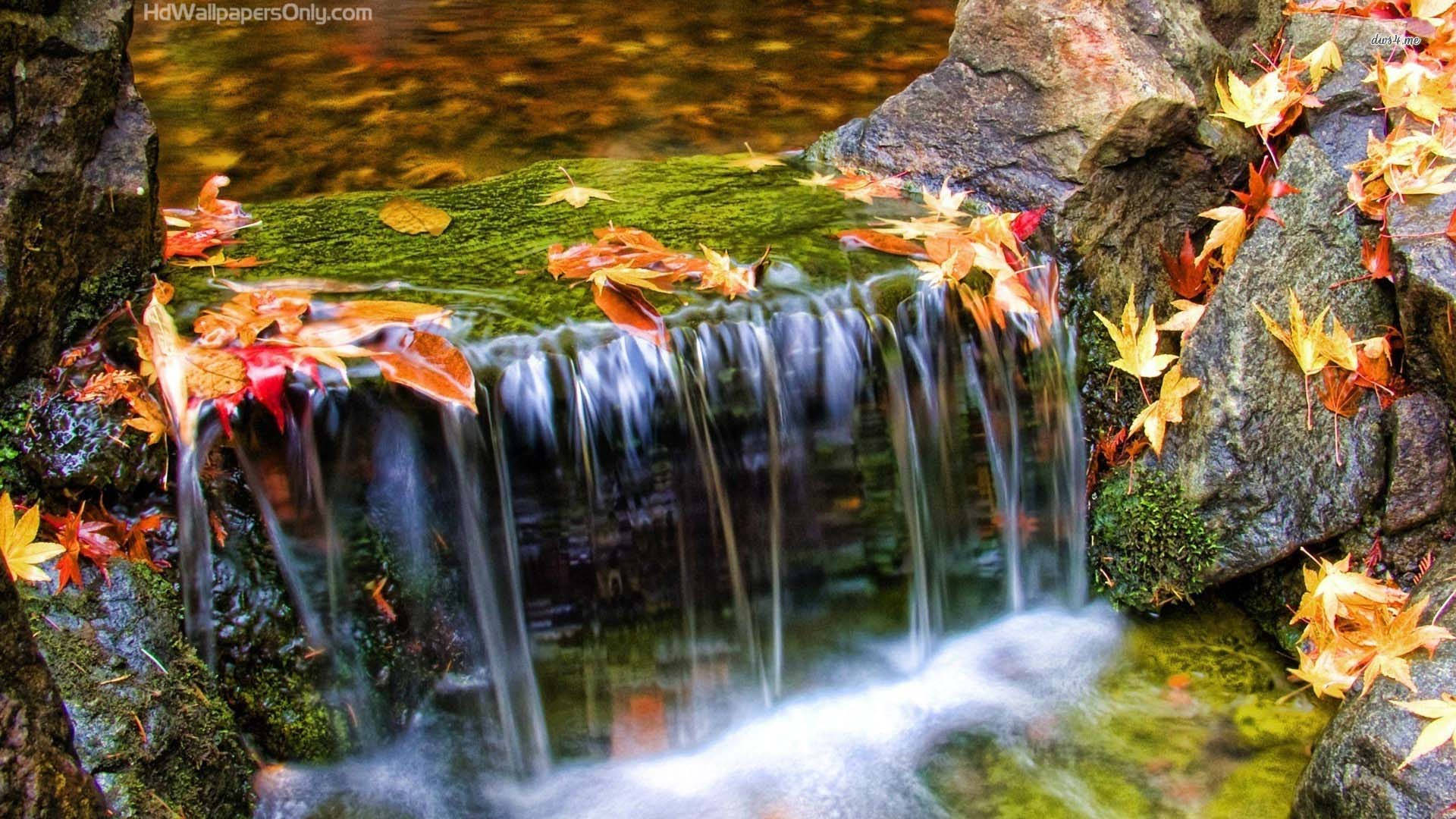 Beautiful Waterfall 桌布 壁紙 — 寧靜的秋季瀑布傾瀉而下，流過佈滿鮮紅和橙色楓葉的苔蘚岩石。