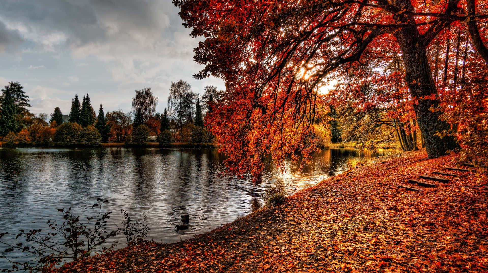 Best Autumn 桌布 壁紙 — 寧靜的秋日湖景，鮮紅和橙色的樹葉在水邊環繞，天空陰沉。