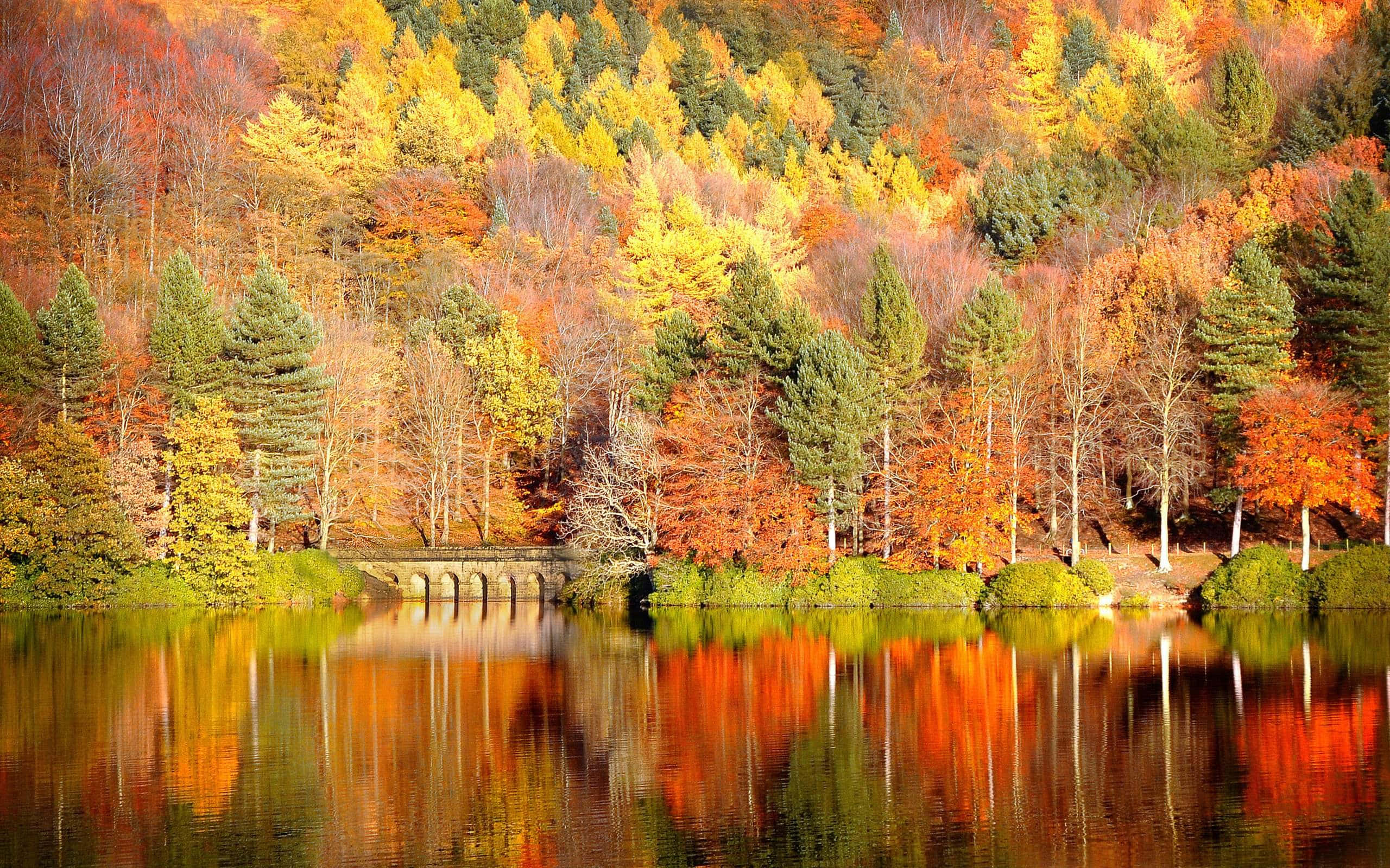 Fall Colors 桌布 壁紙 — 寧靜的秋日湖泊映照著山坡，山坡上燃燒著火紅、橙、黃和綠色的樹葉，在晴朗的日光下。
