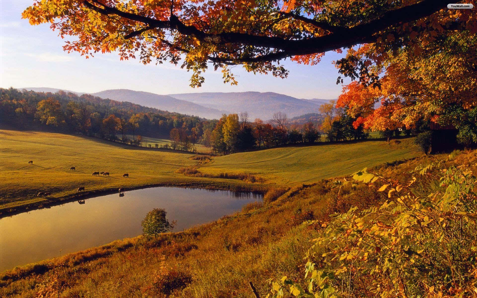 Fall Landscape 桌布 壁紙 — 寧靜的秋日風景，鮮豔的橙色樹葉環繞著平靜的池塘，四周是起伏的丘陵和遠山。